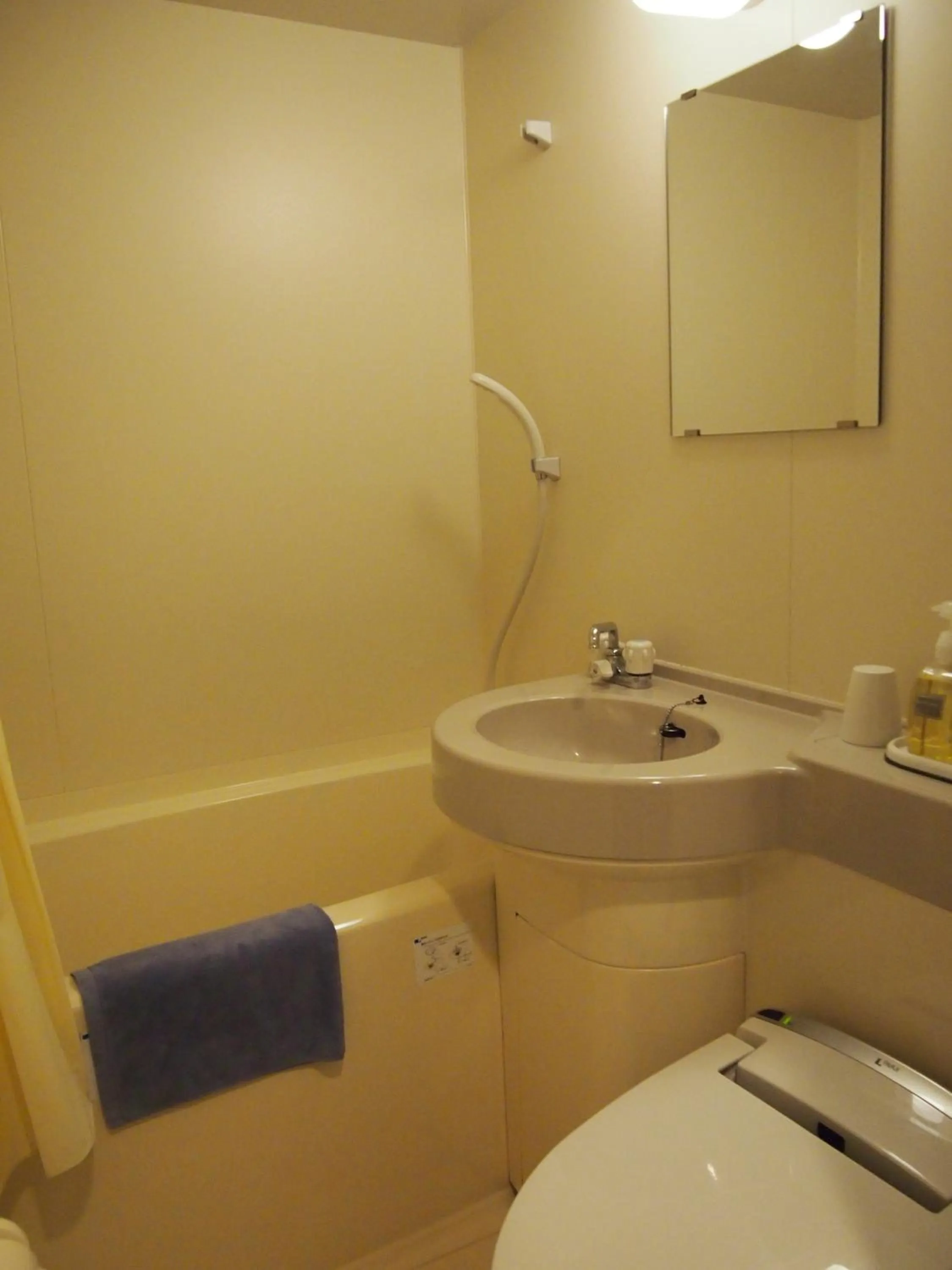 Bathroom in Tashiro Annex