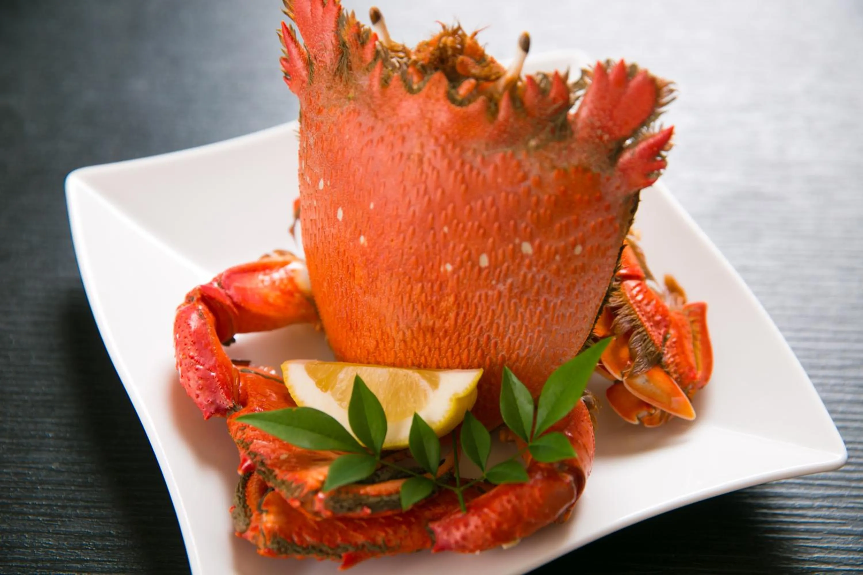 Food close-up in Tashiro Annex