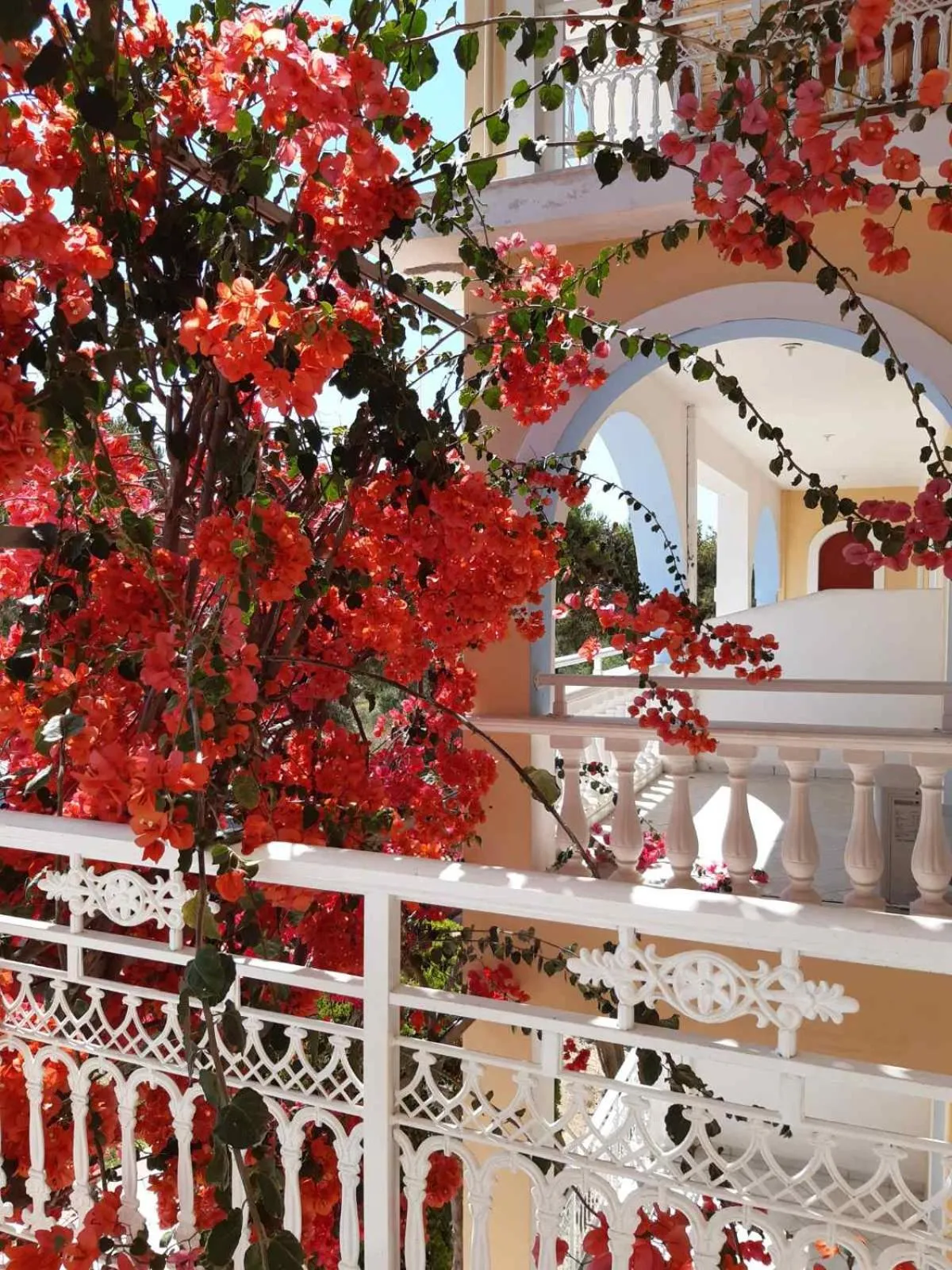 Day in Sunflower Apartments & Studios