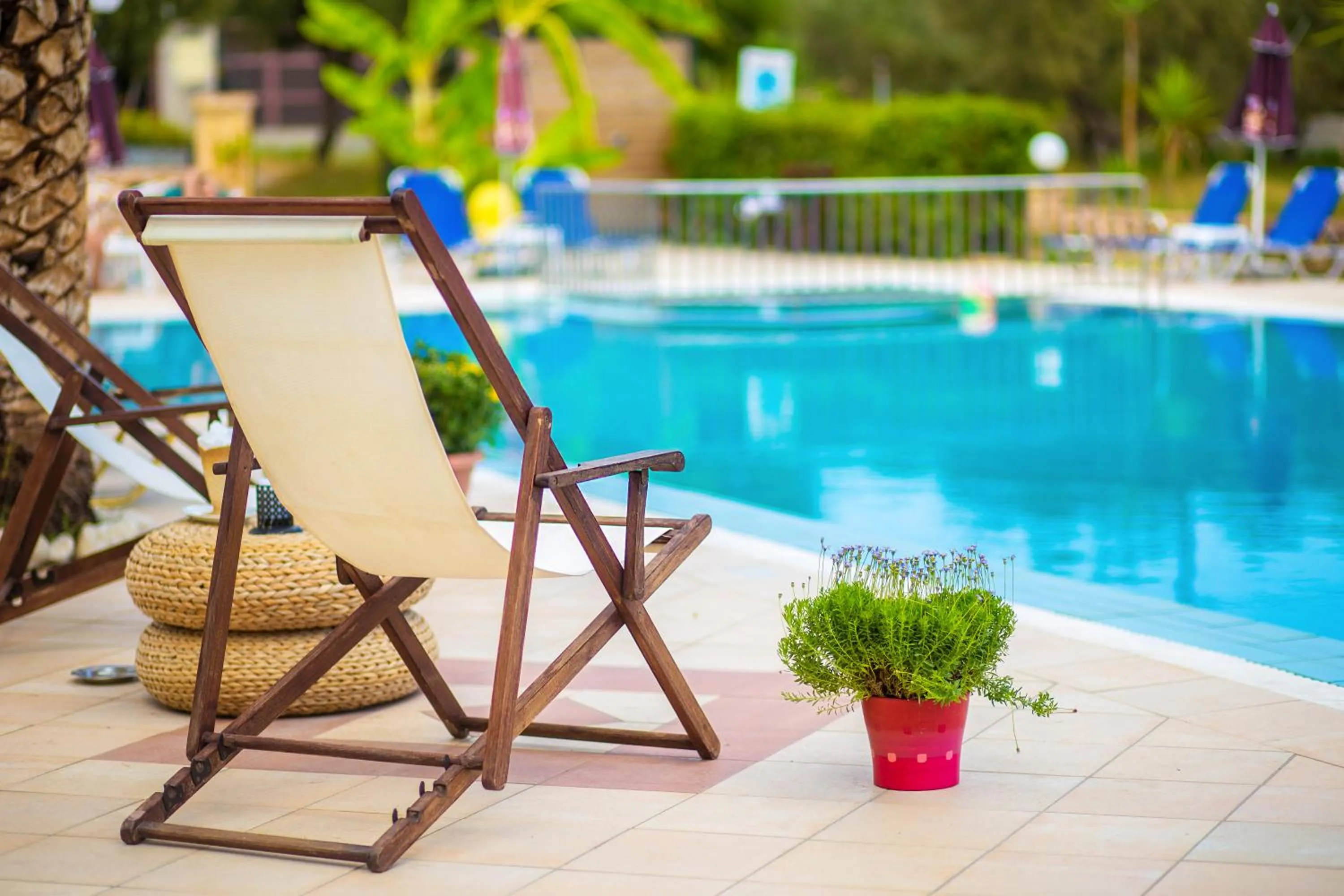 Property building in Sunflower Apartments & Studios