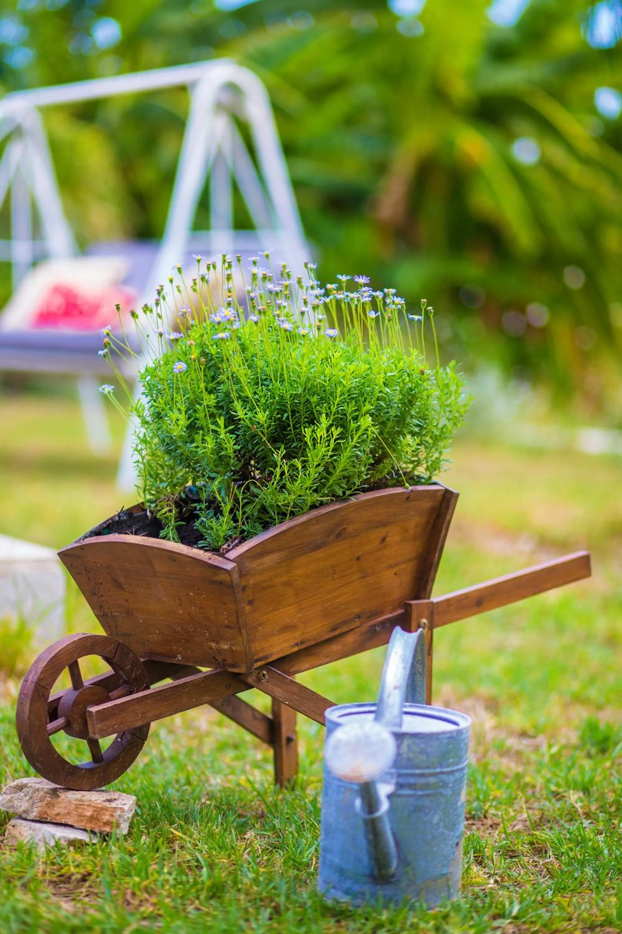 Spring in Sunflower Apartments & Studios