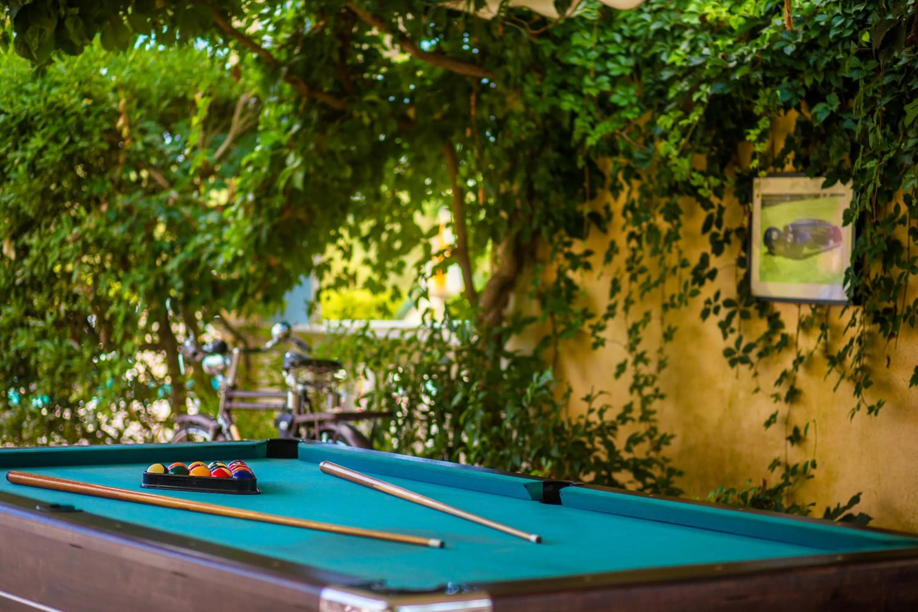 Day in Sunflower Apartments & Studios