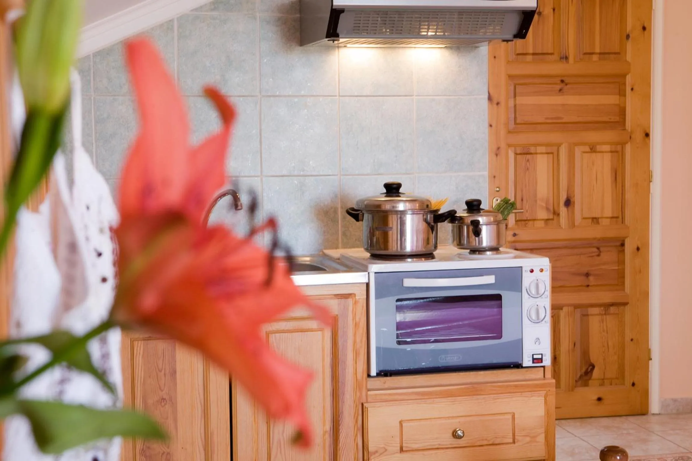 Kitchen or kitchenette in Pansion Filoxenia Apartments & Studios