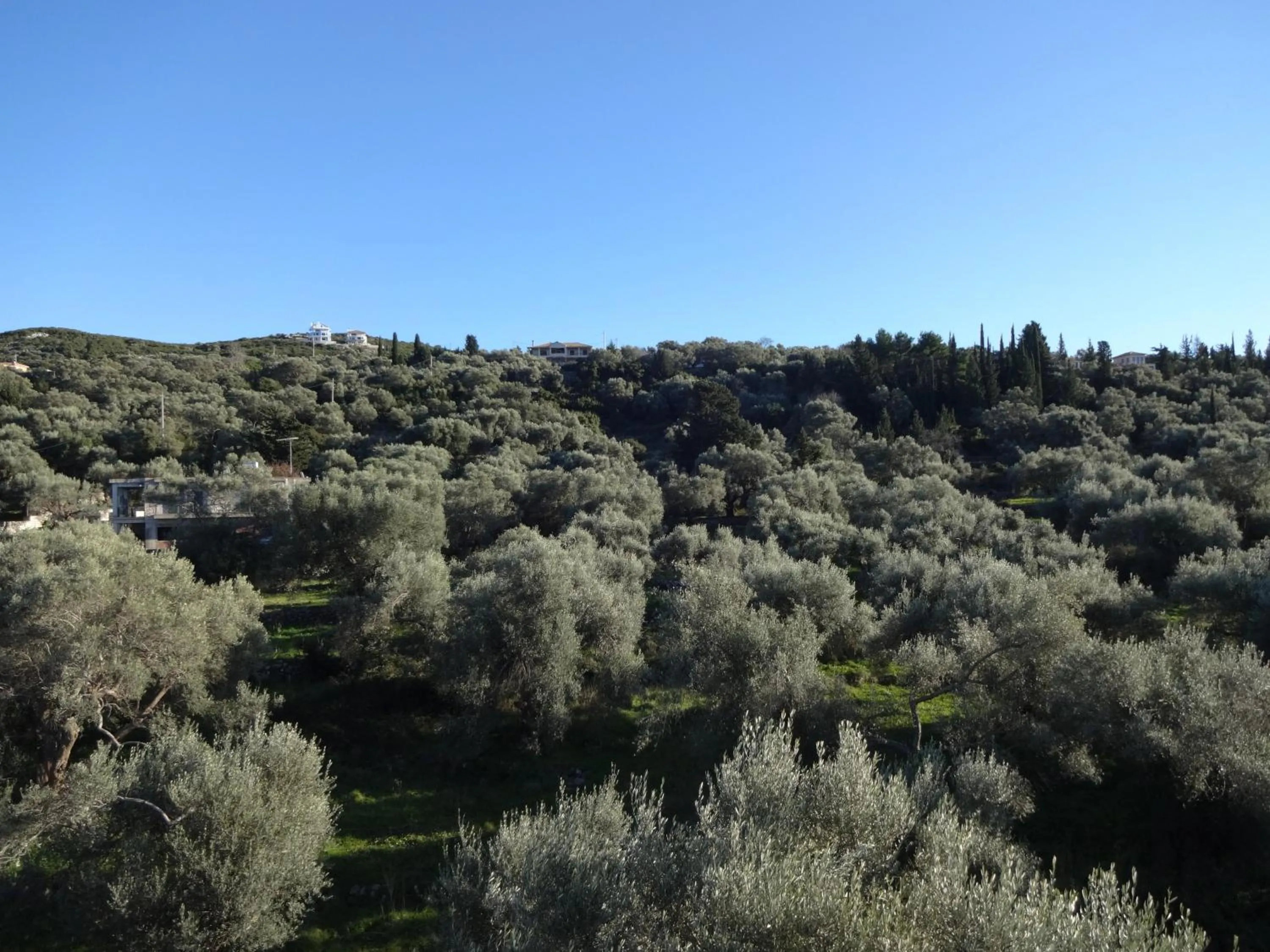 View (from property/room) in Pansion Filoxenia Apartments & Studios