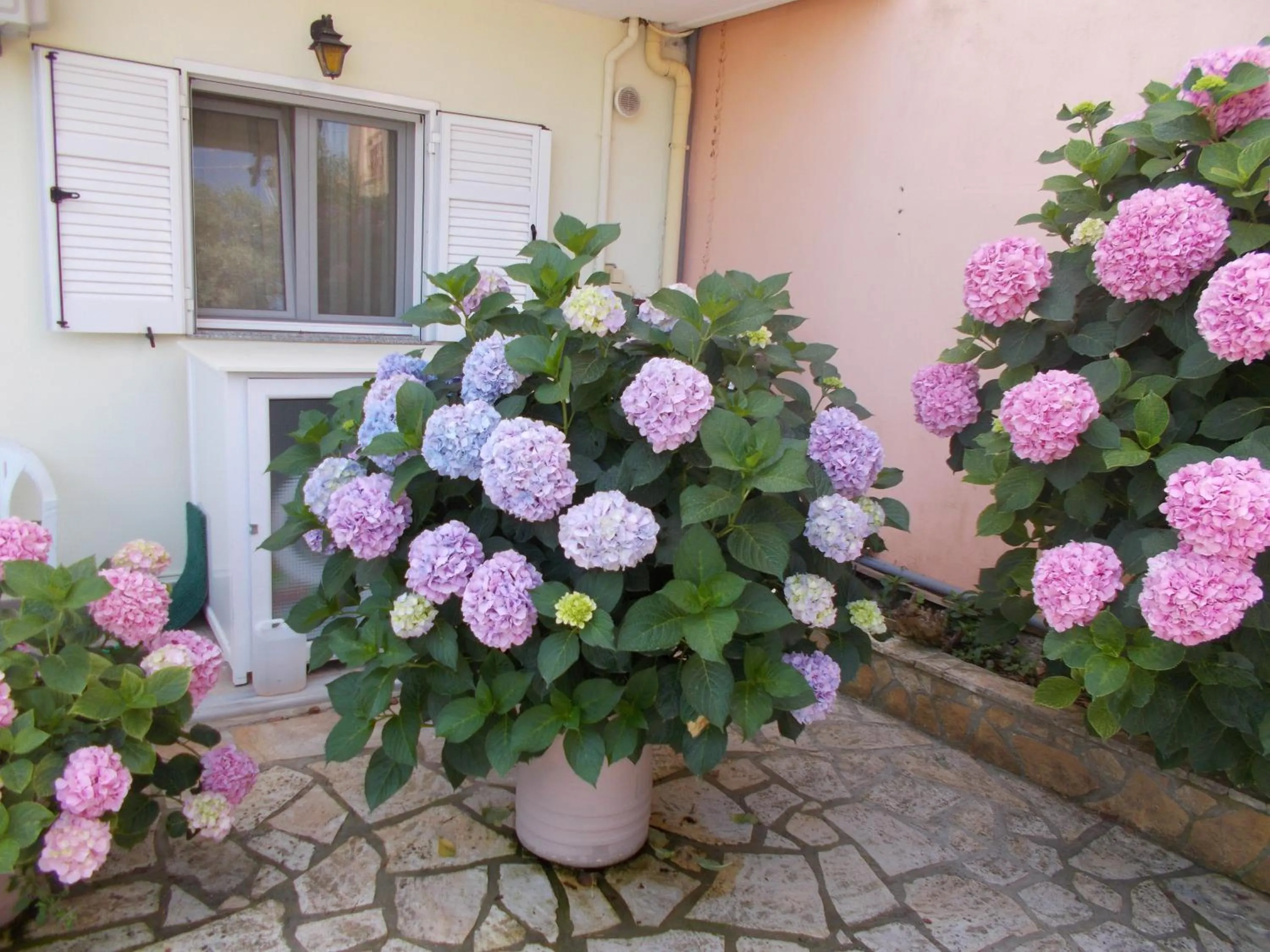 Pansion Filoxenia Apartments & Studios