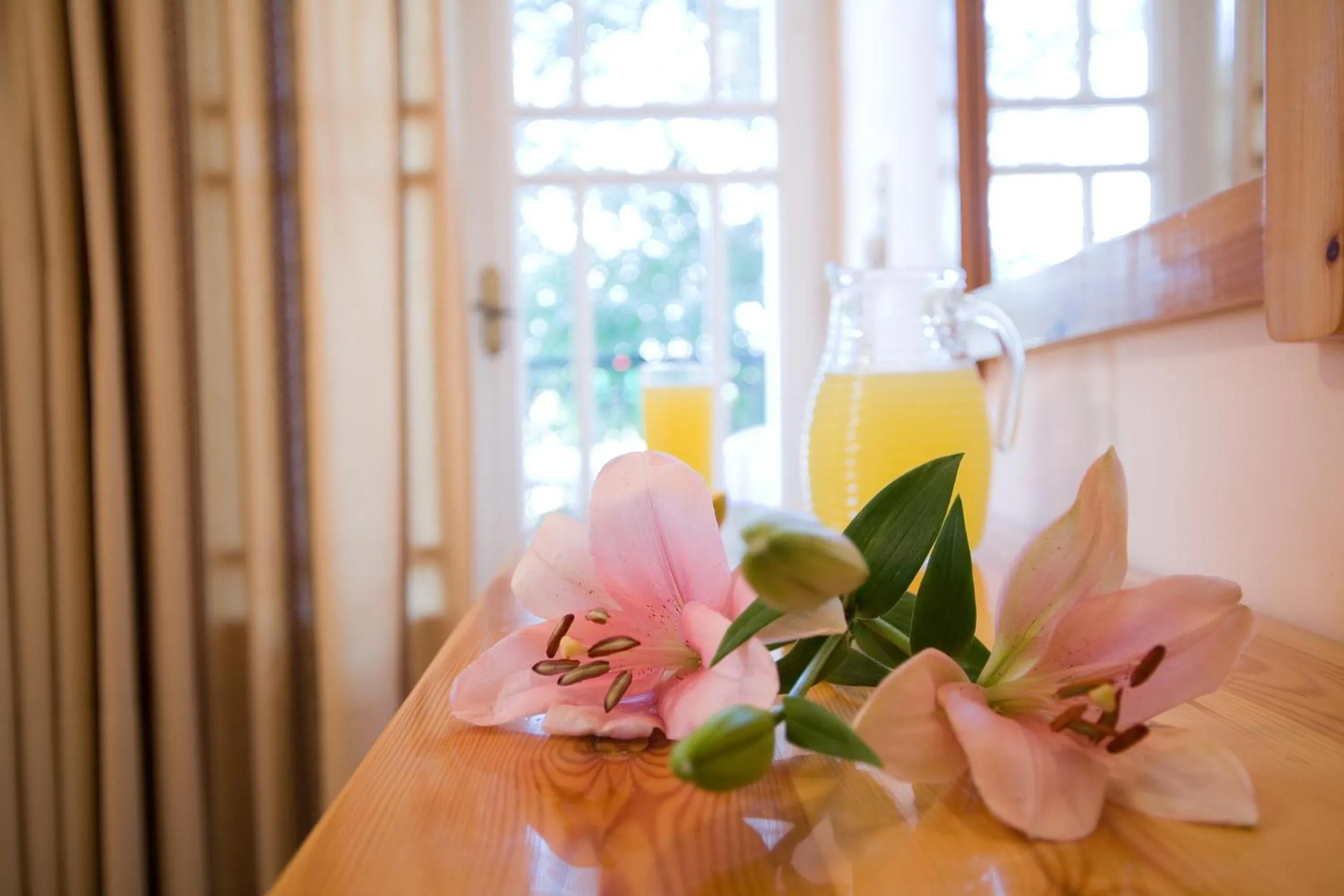 Decorative detail in Pansion Filoxenia Apartments & Studios