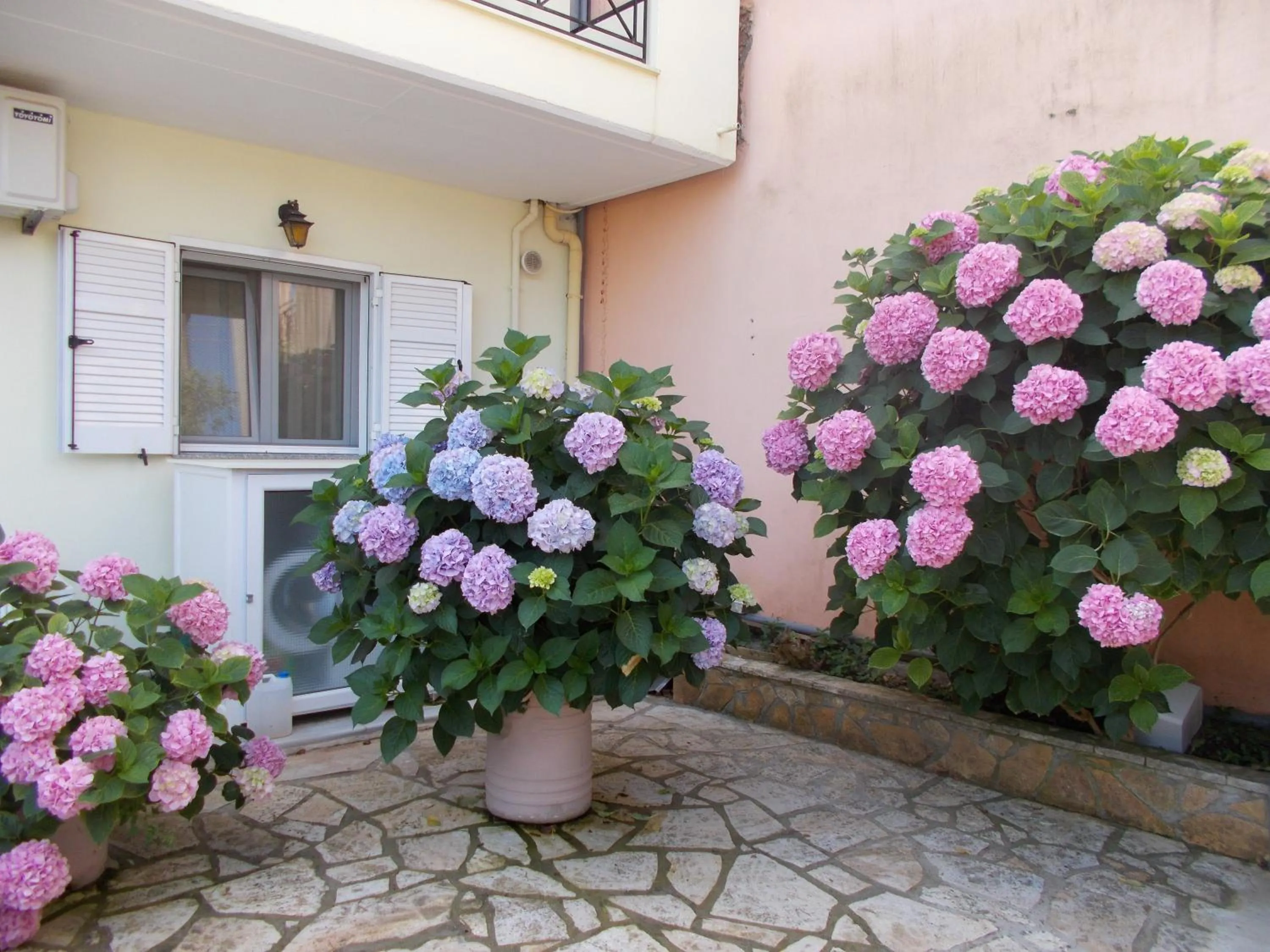 On site in Pansion Filoxenia Apartments & Studios