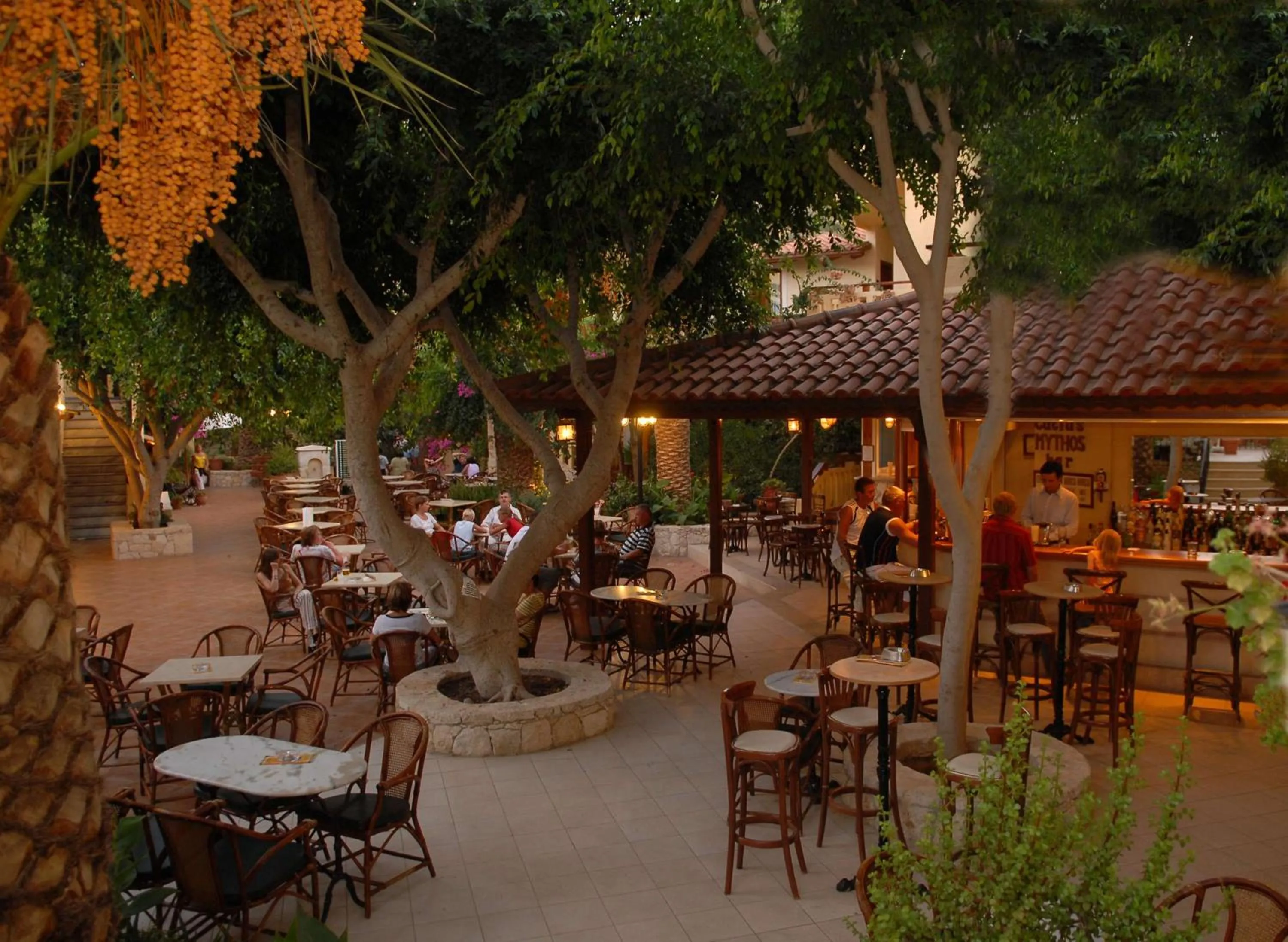 Lounge or bar in Cactus Beach Hotel