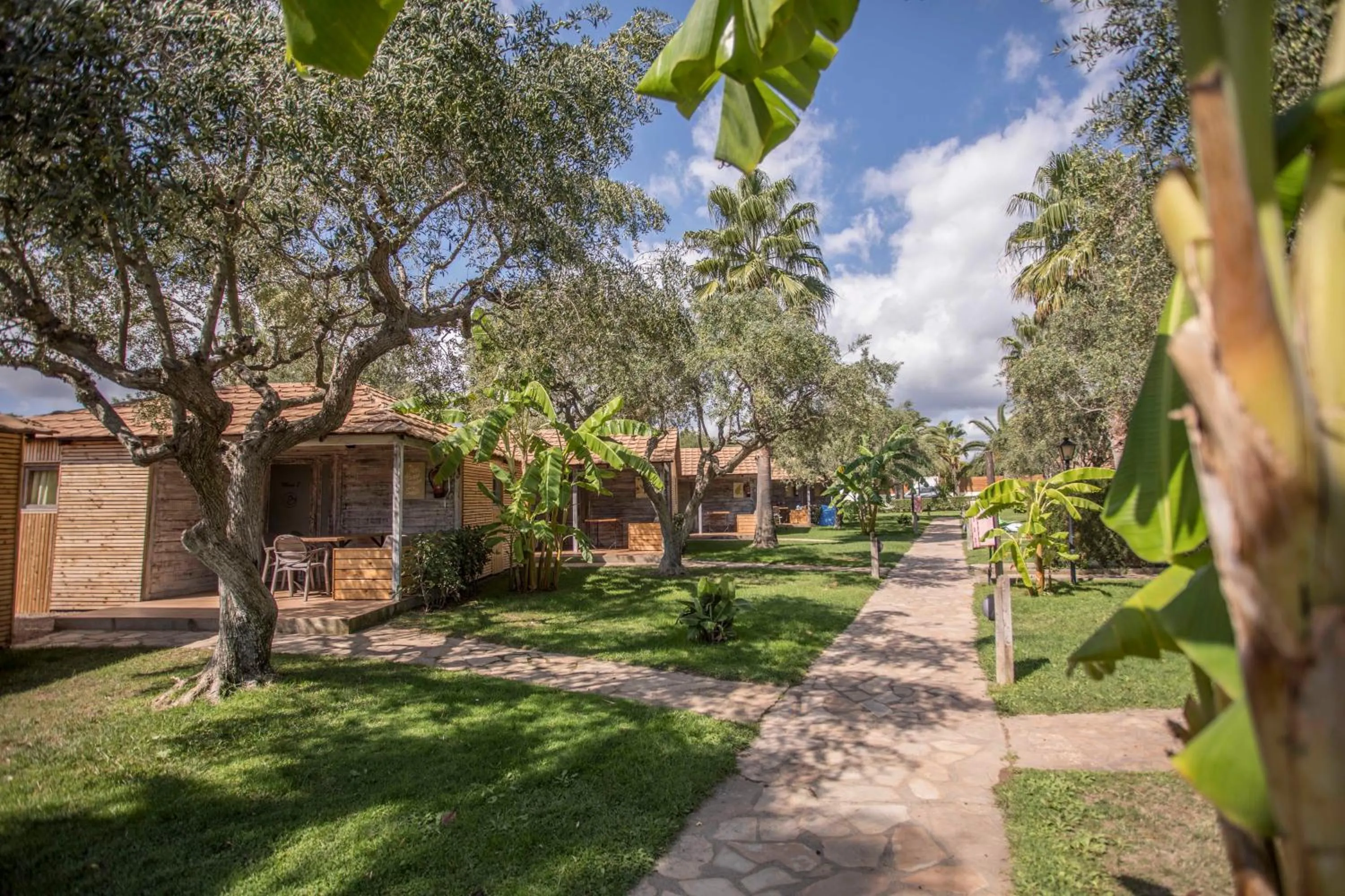 Garden in Alannia Els Prats