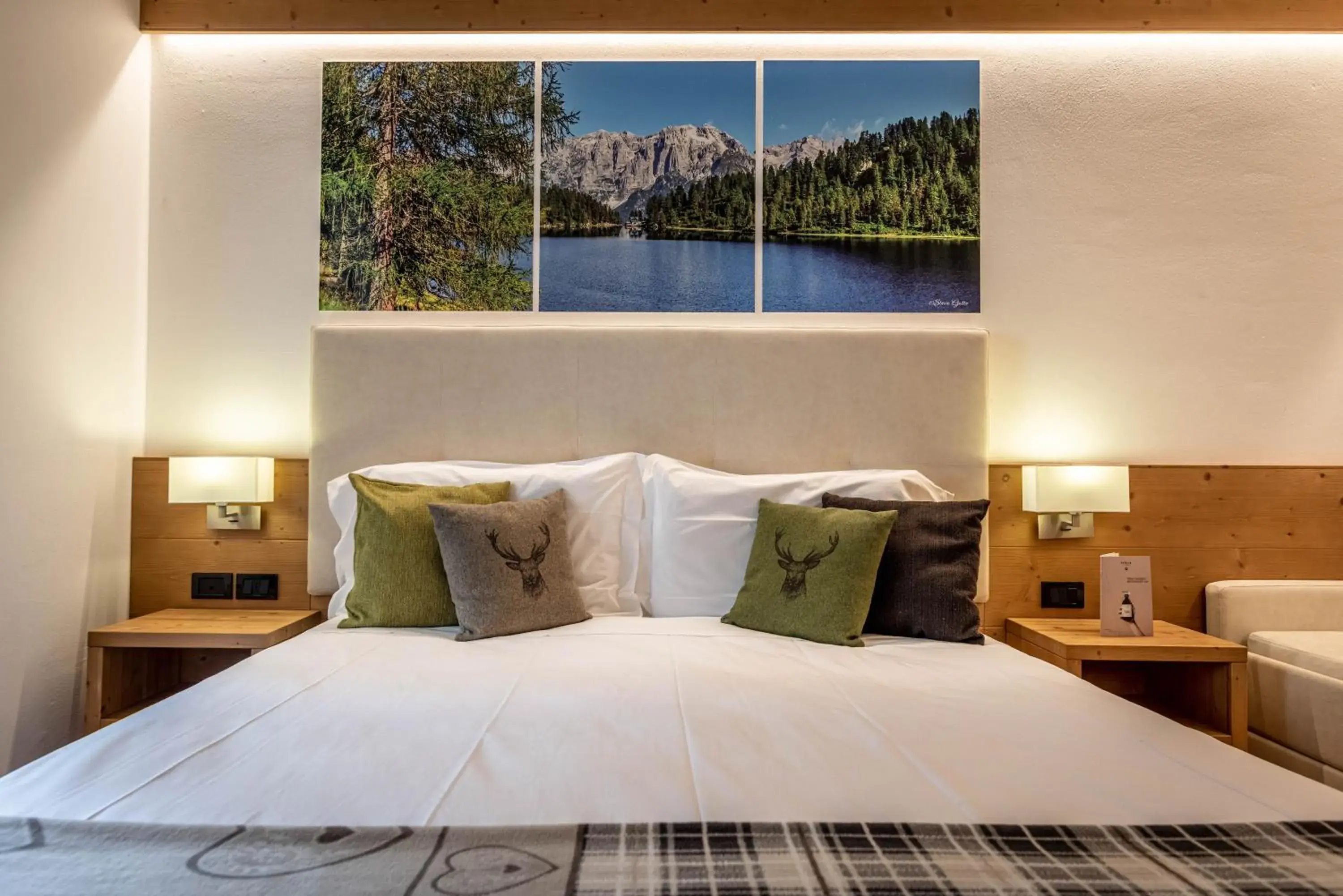 Double Room - single occupancy in Hotel Caminetto Double Room - single occupancy in Hotel Caminetto