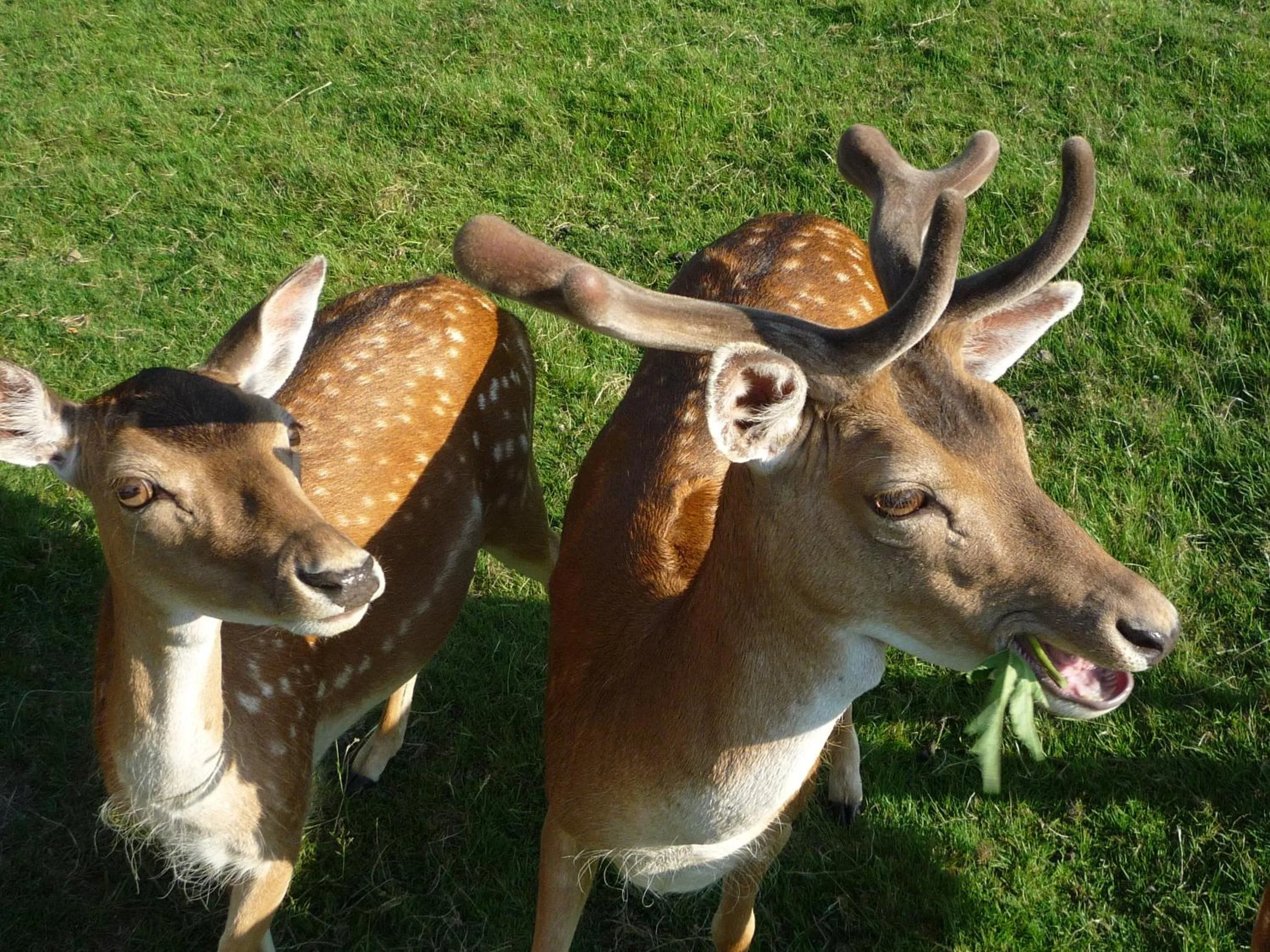 Area and facilities in Waldgasthof & Hotel Am Sauwald