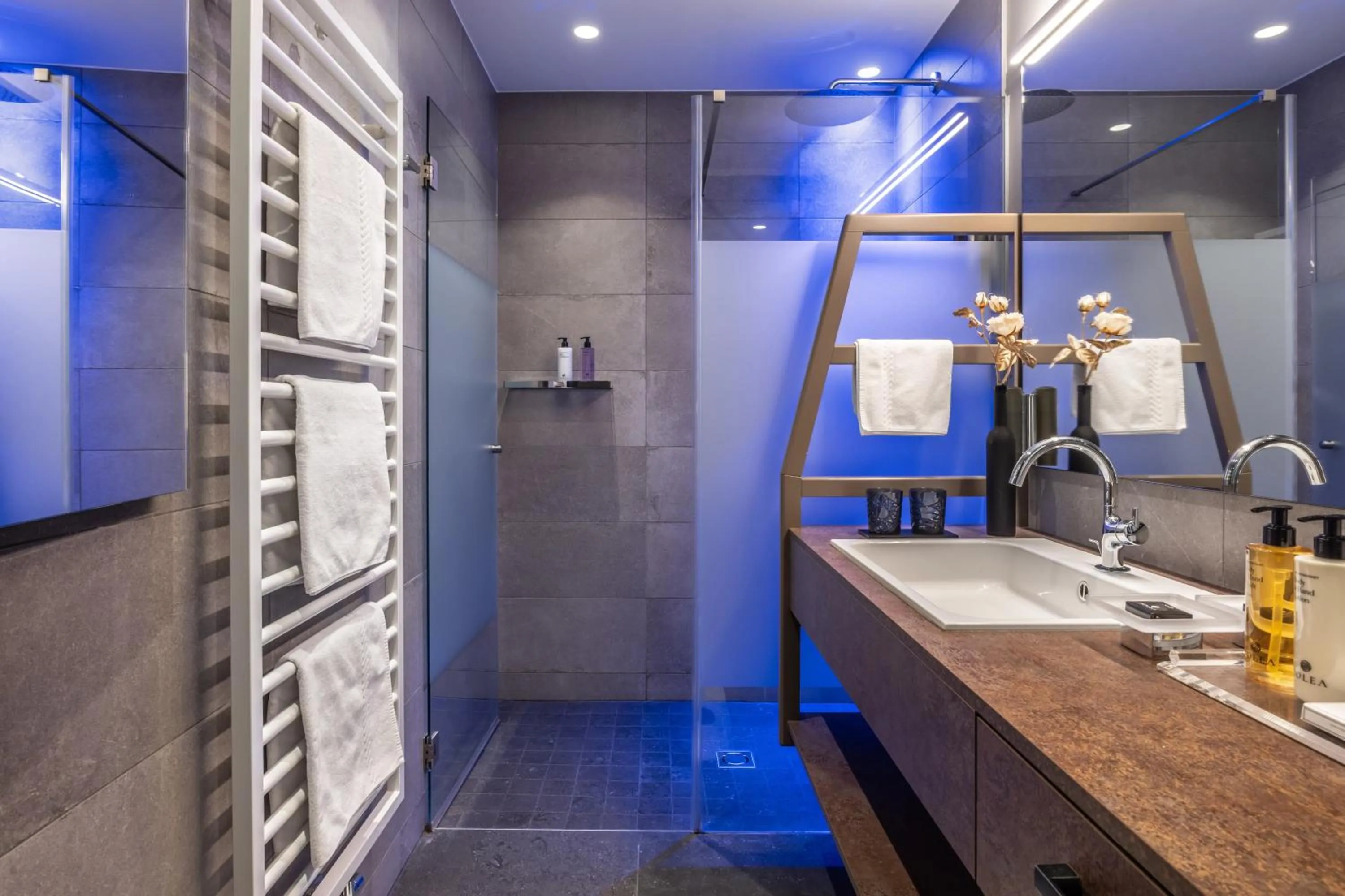 Shower in Hotel Der Weinmesser