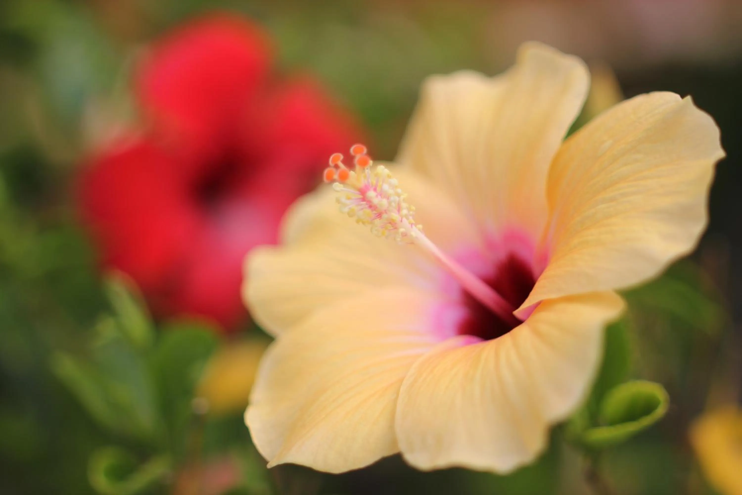 Decorative detail in Punta Falcone Resort