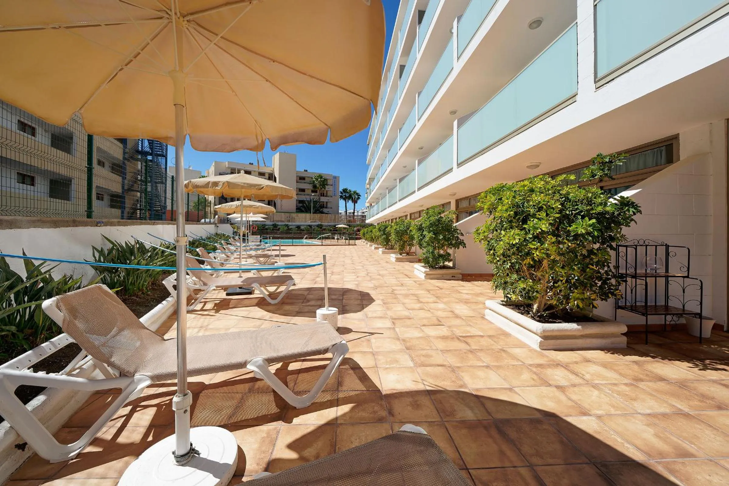 Solarium in Apartamentos Strelitzias