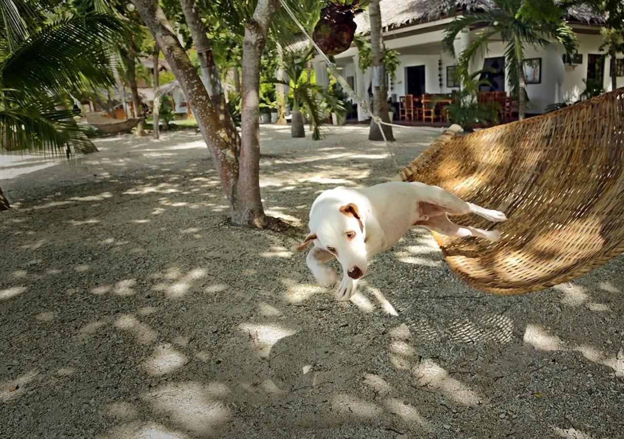 Property building in Les Maisons D'Itac