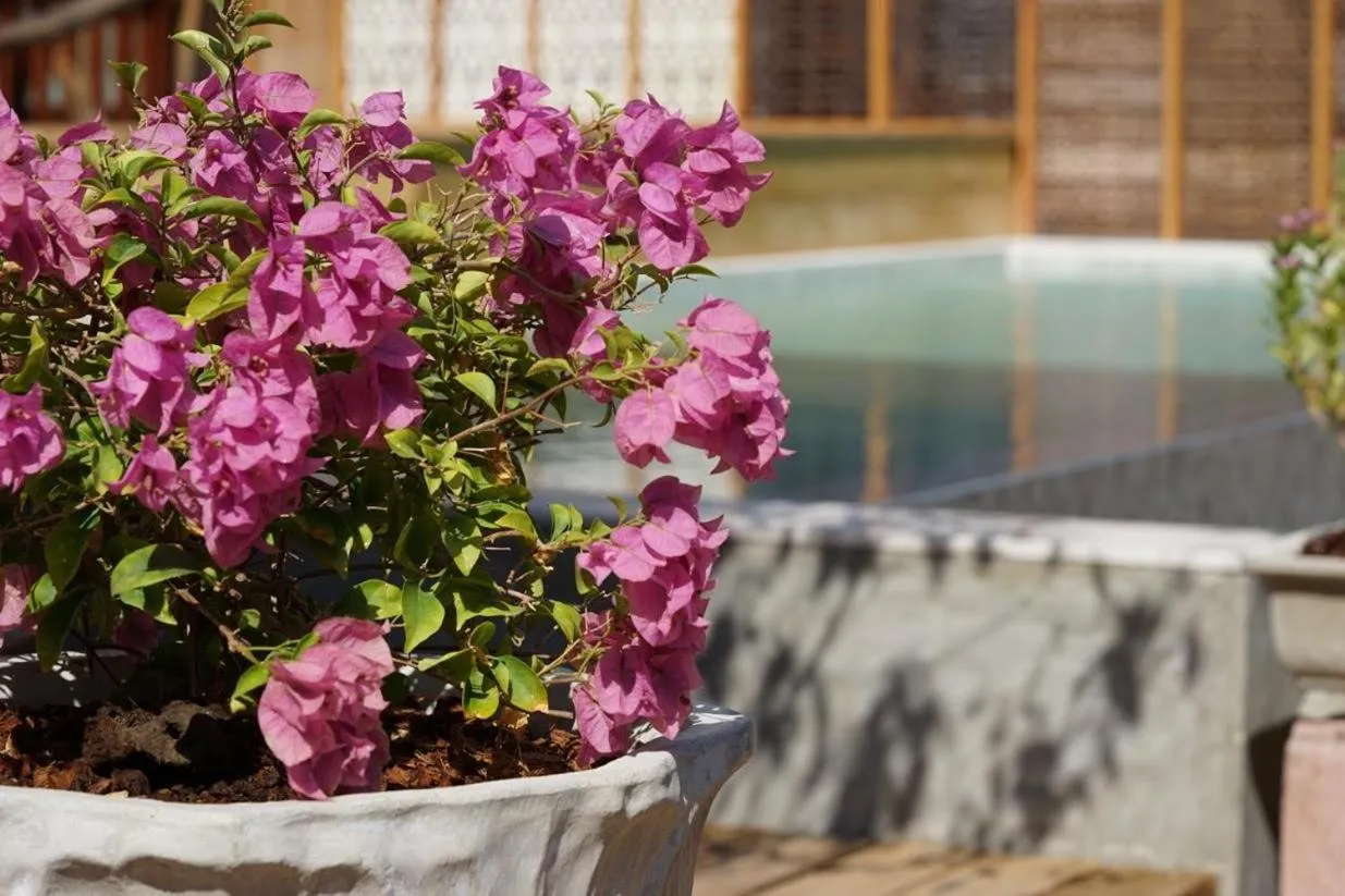 Garden in House Of Passion Amphawa