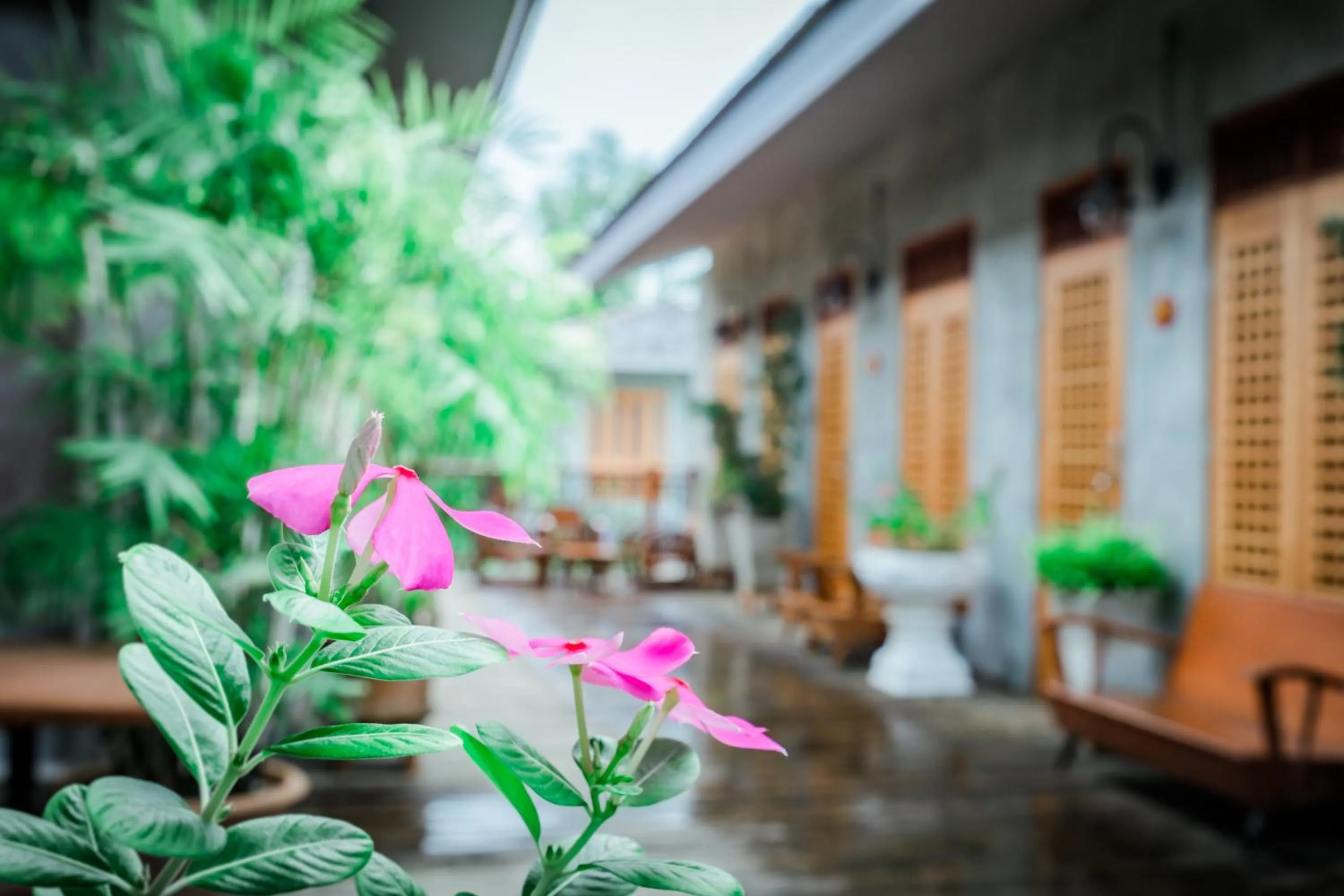 Property building in House Of Passion Amphawa