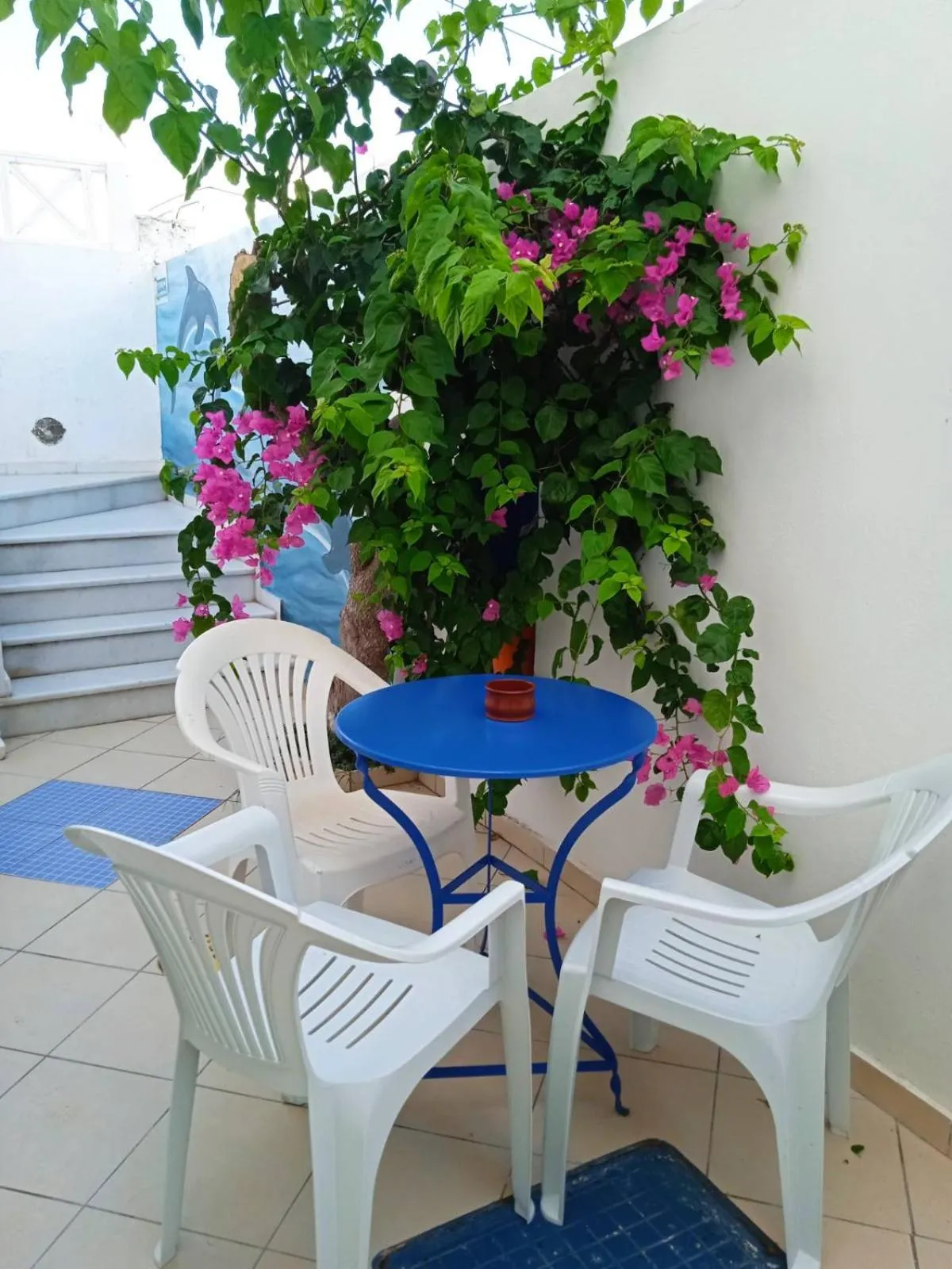 Garden in Pension Ptolemeos