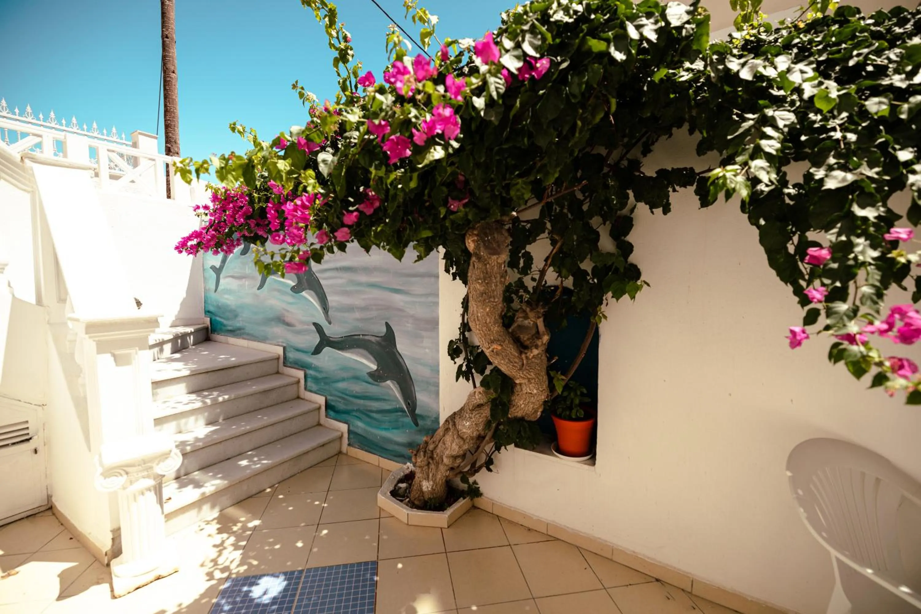 Garden in Pension Ptolemeos