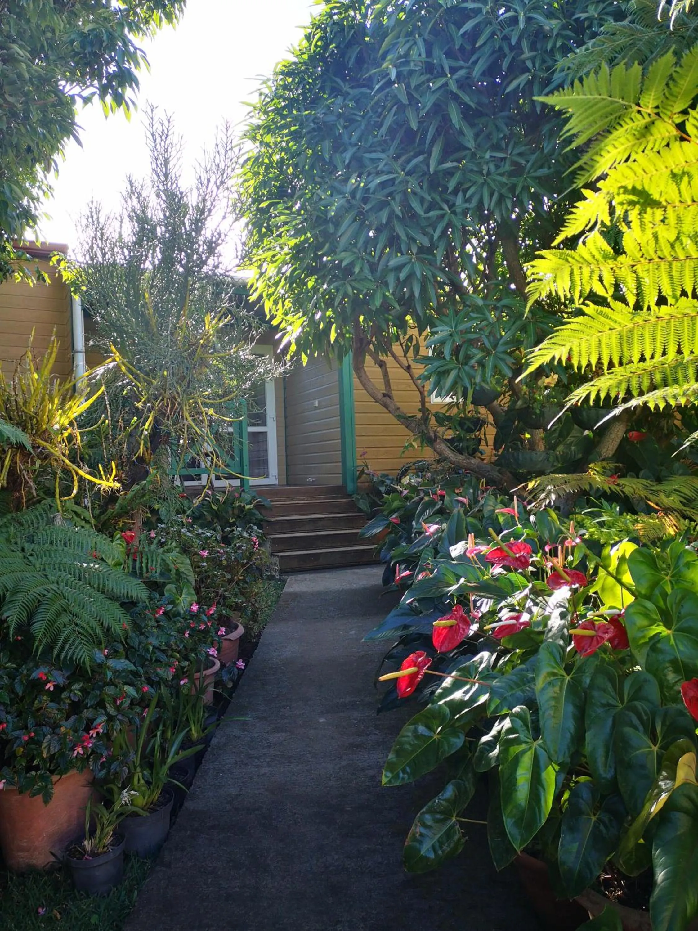 Facade/entrance in Les Agapanthes