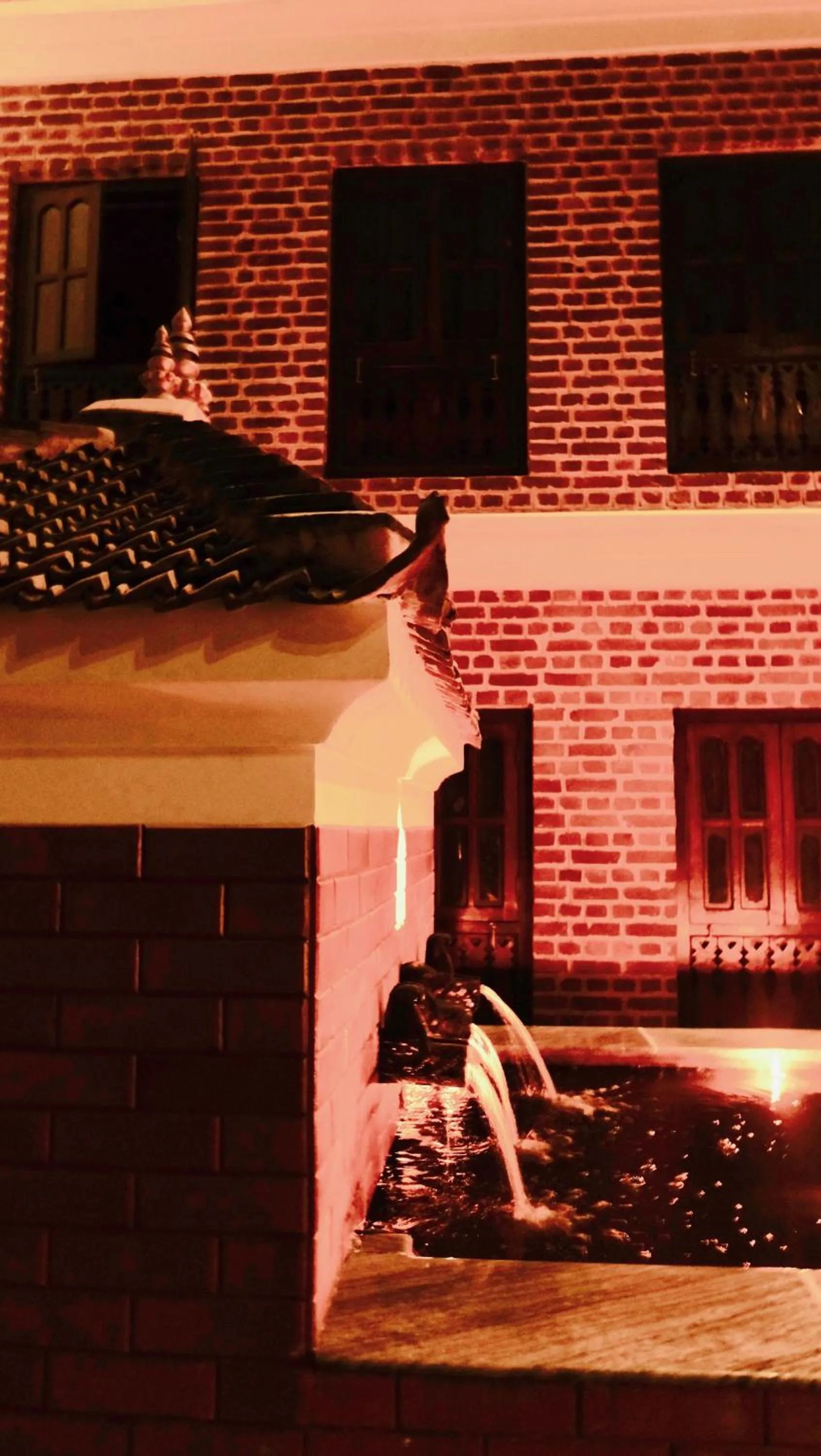 View (from property/room) in Hotel Timila