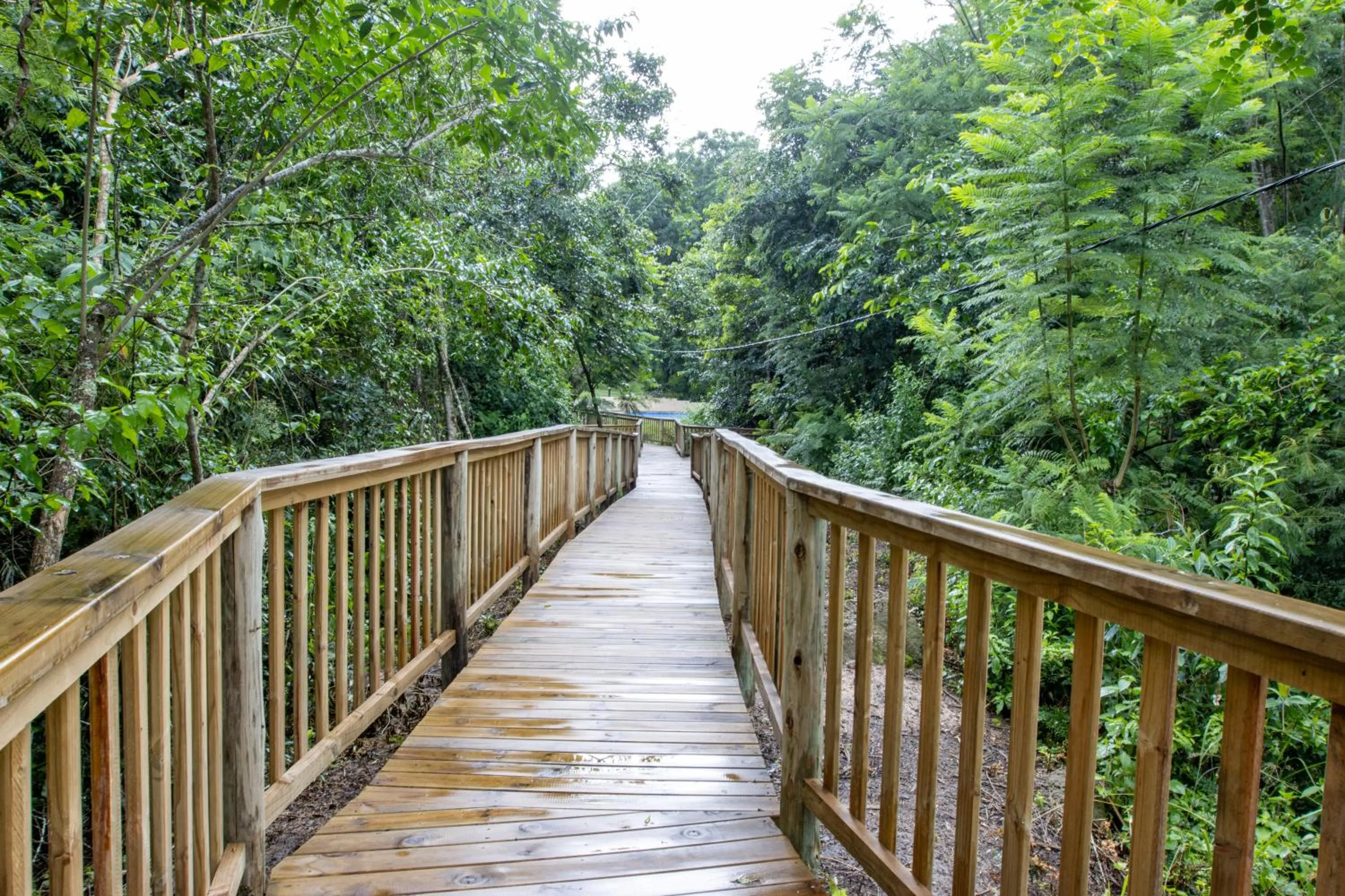 Kruger Adventure Lodge