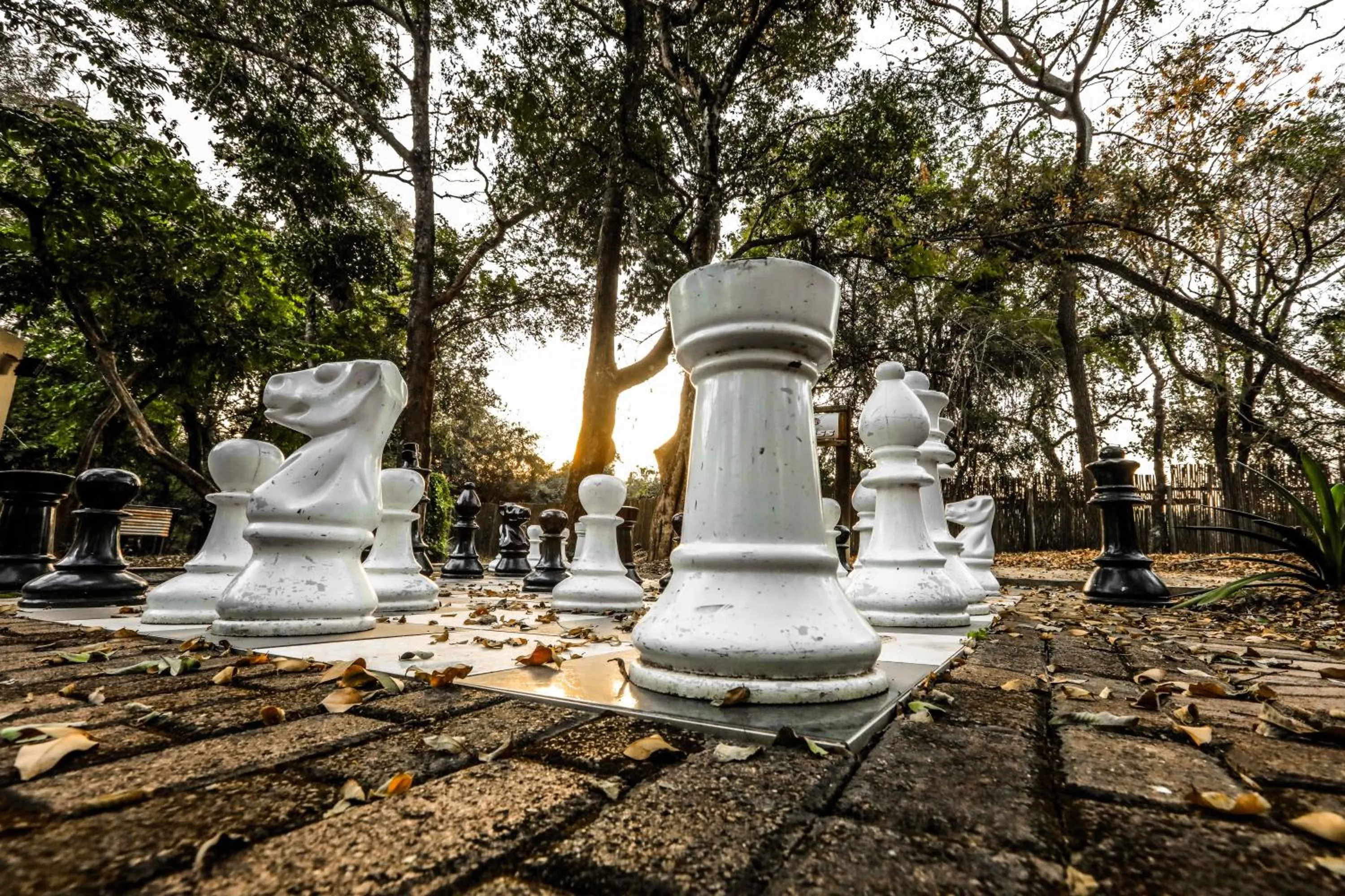 Children play ground in Kruger Adventure Lodge