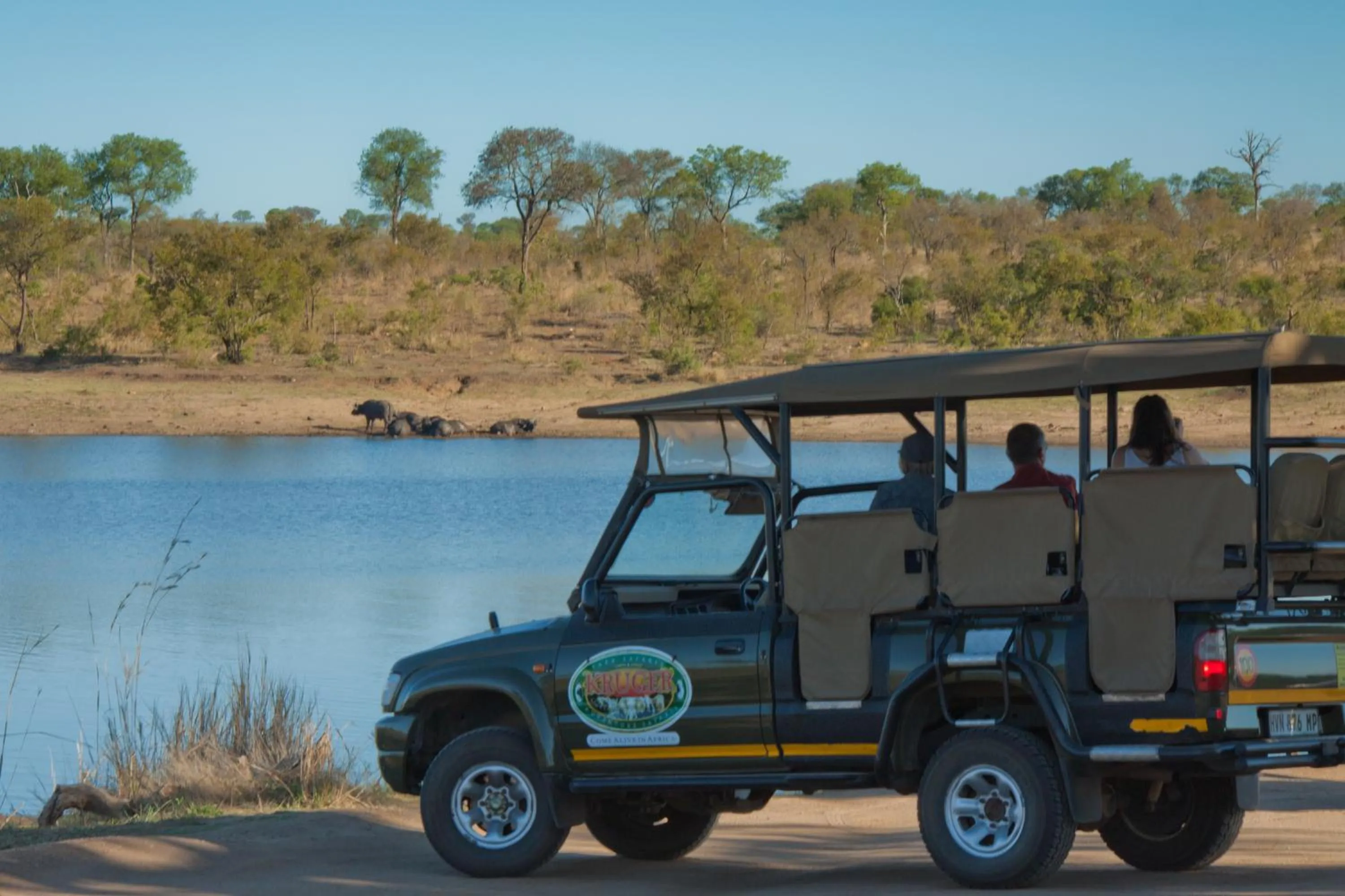 Activities in Kruger Adventure Lodge