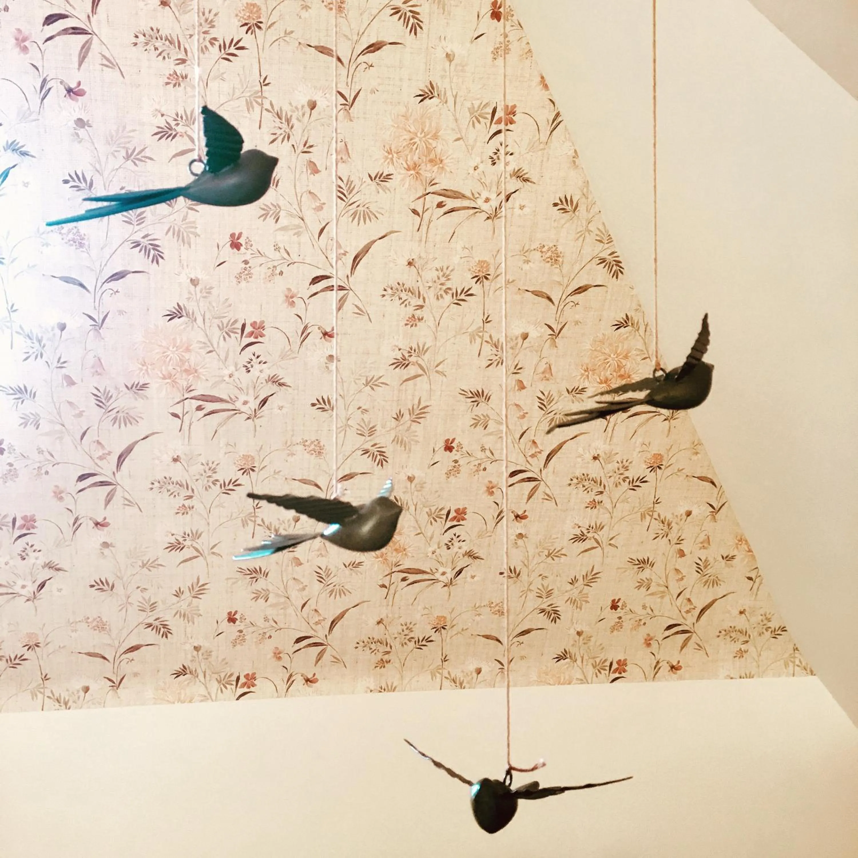 SOEPP hotel & restaurant