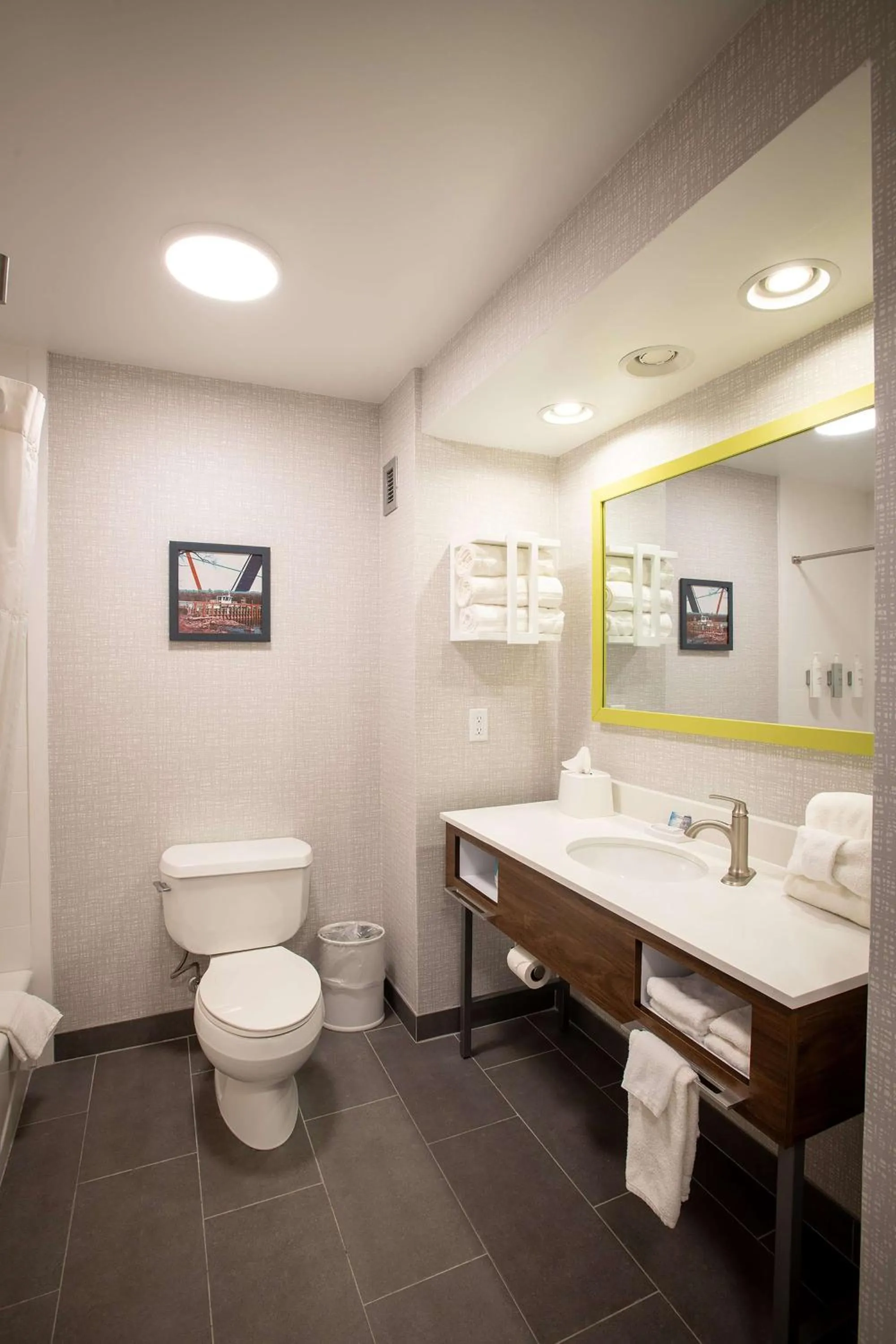 Bathroom in Hampton Inn Seaford