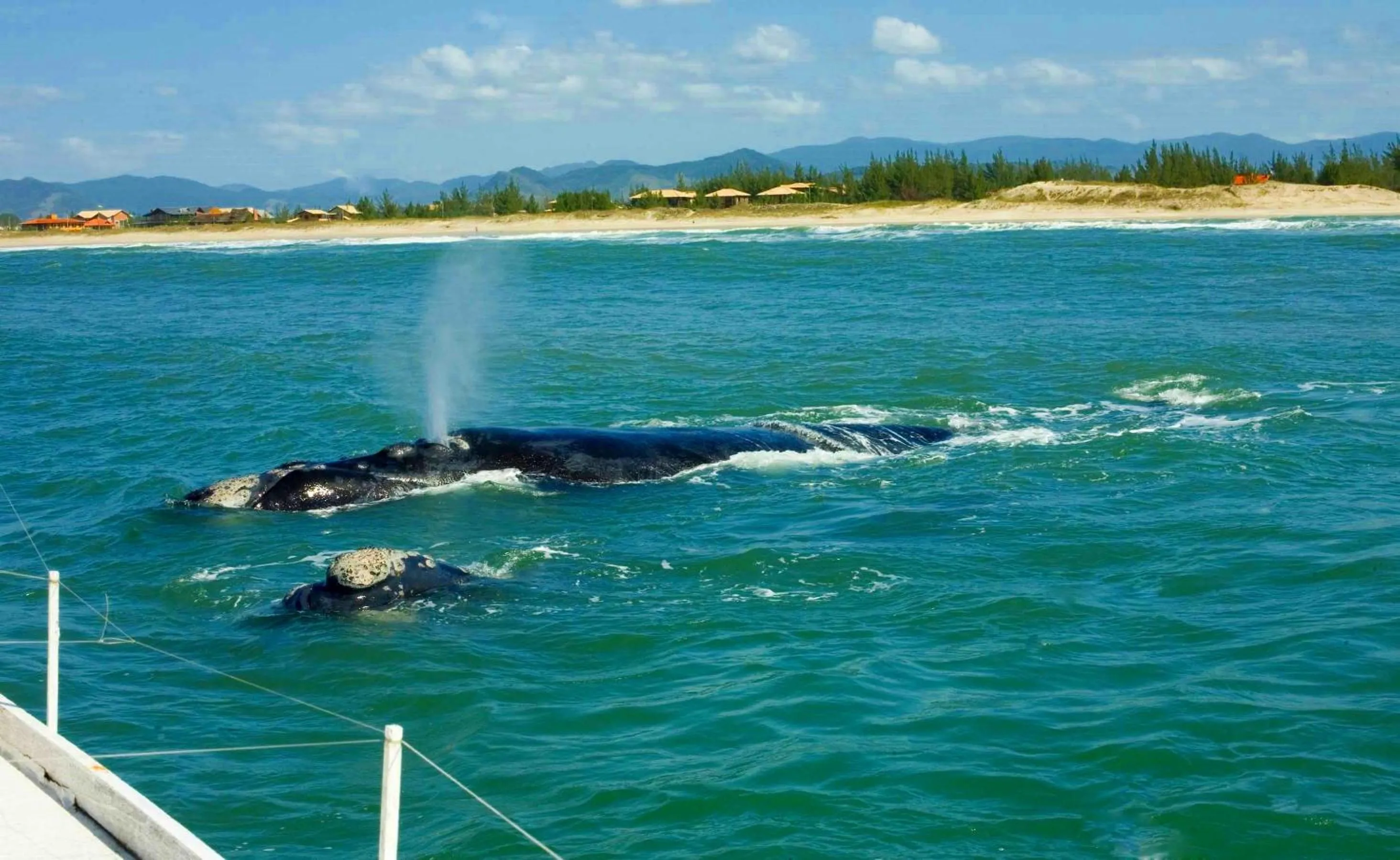 Beach in Pousada Barra Mar