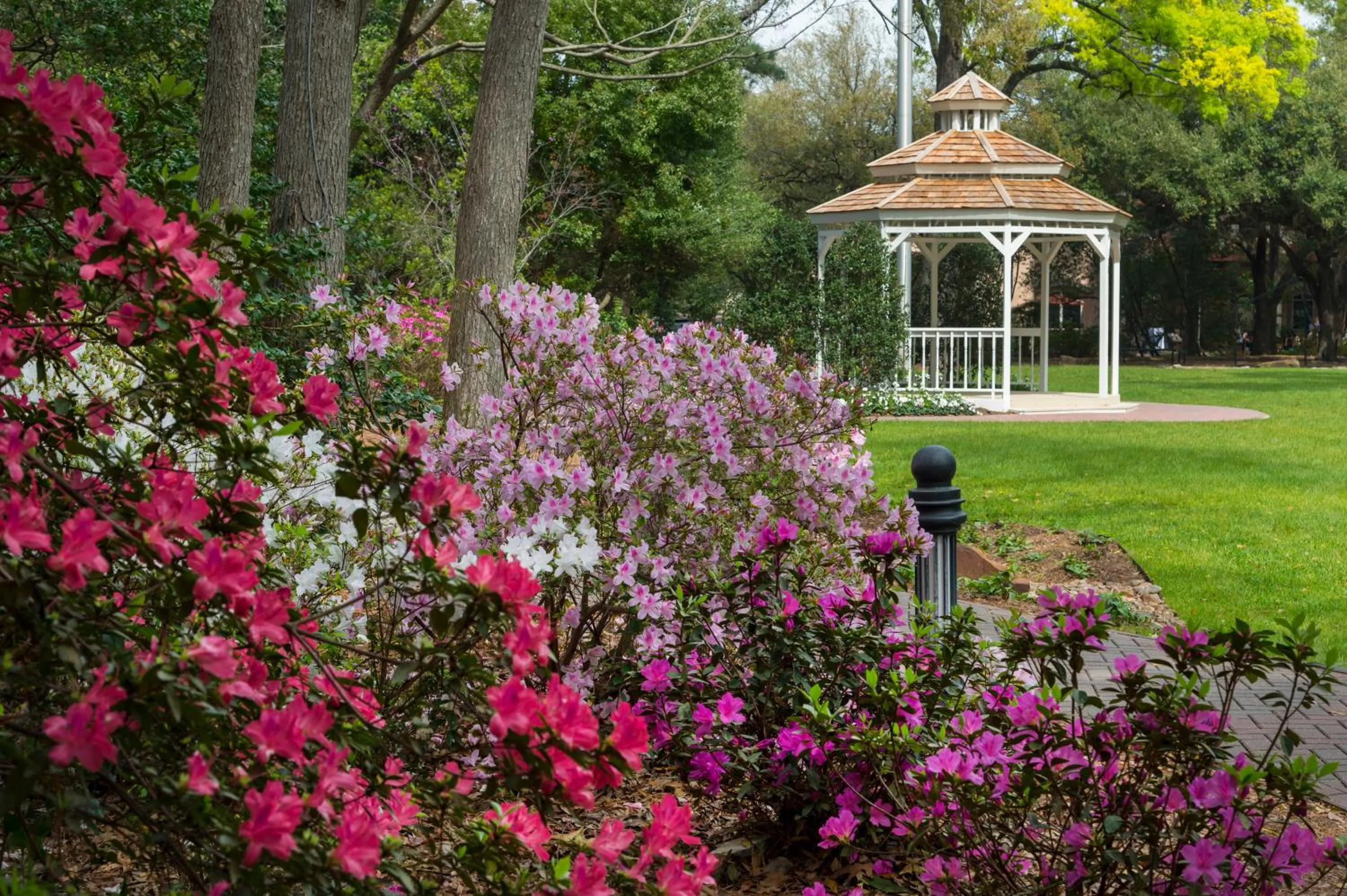 Garden in The Houstonian Hotel, Club & Spa