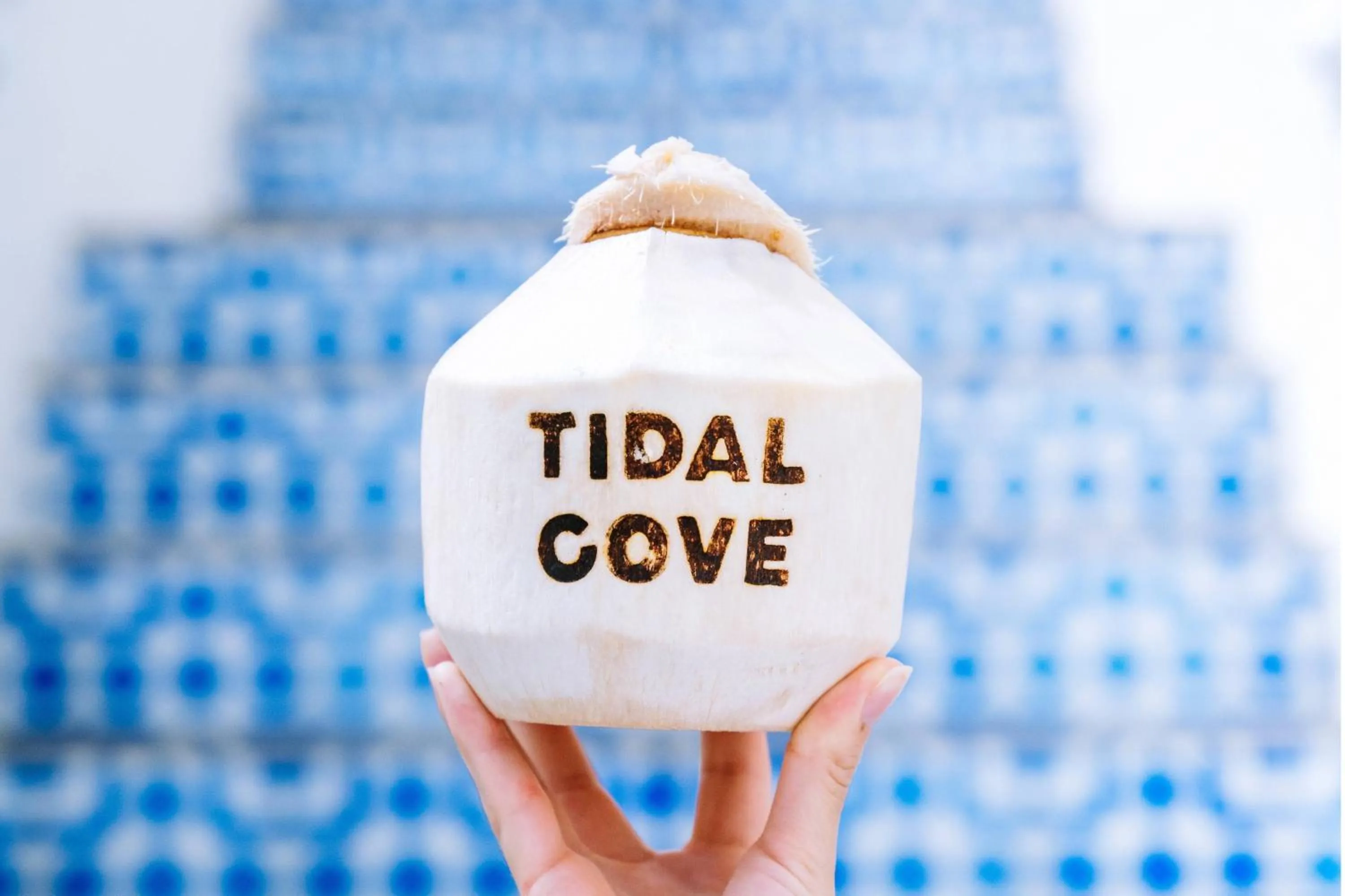 Restaurant/places to eat in JW Marriott Miami Turnberry Resort & Spa