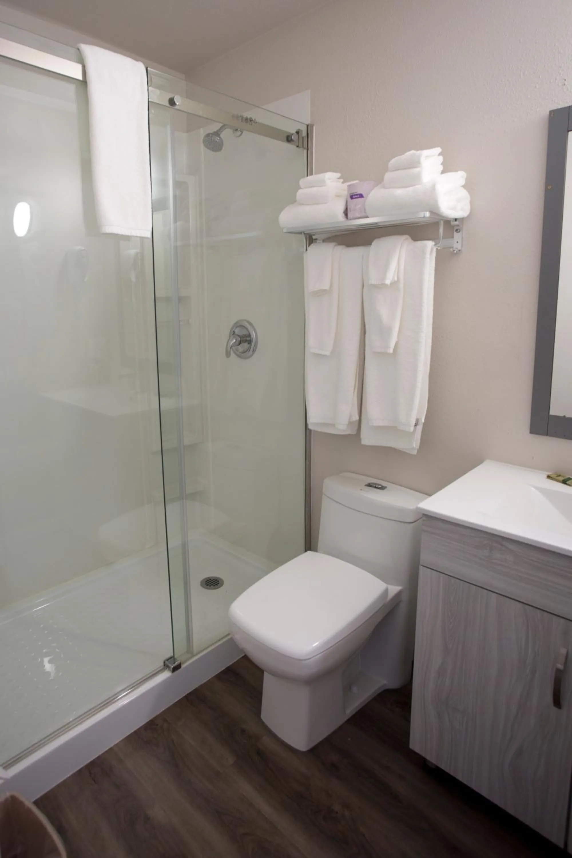 Bathroom in Valemount Vacation Inn