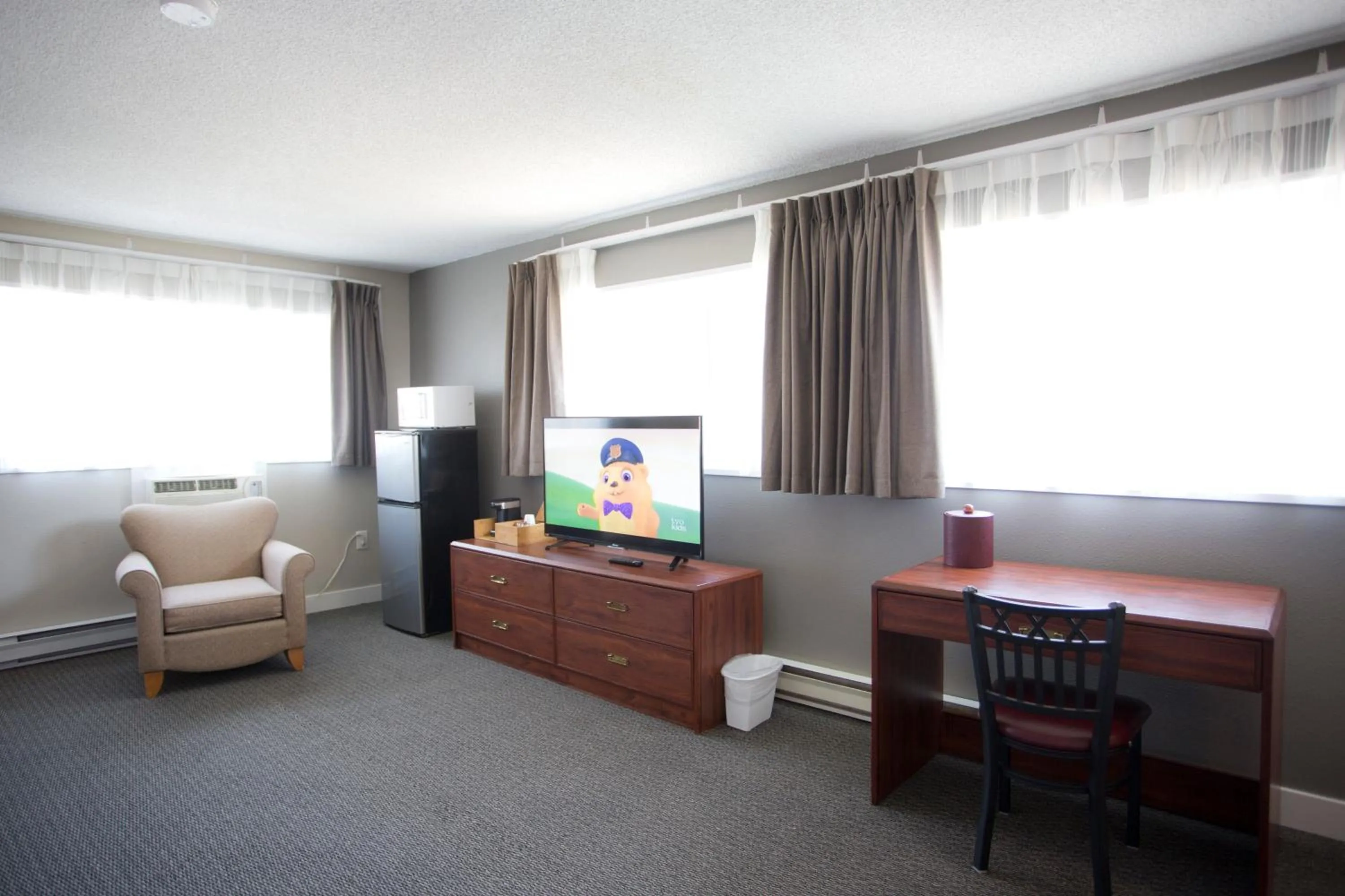 TV and multimedia in Valemount Vacation Inn