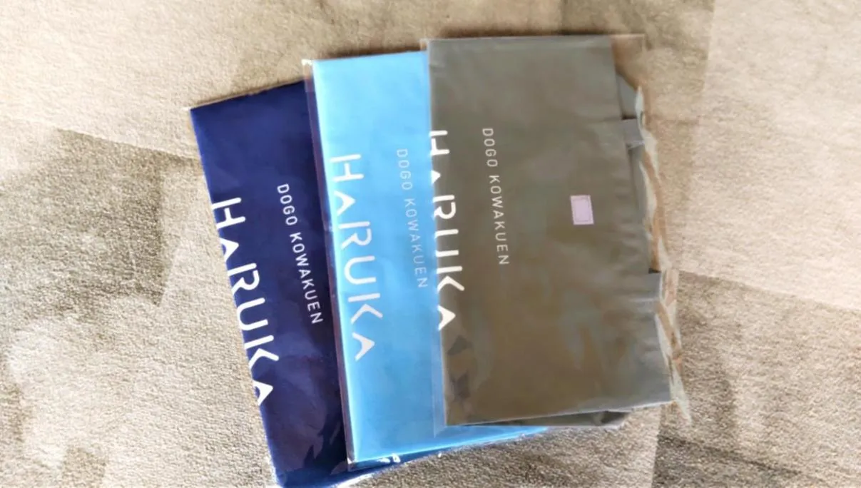 Other in Kowakuen Haruka