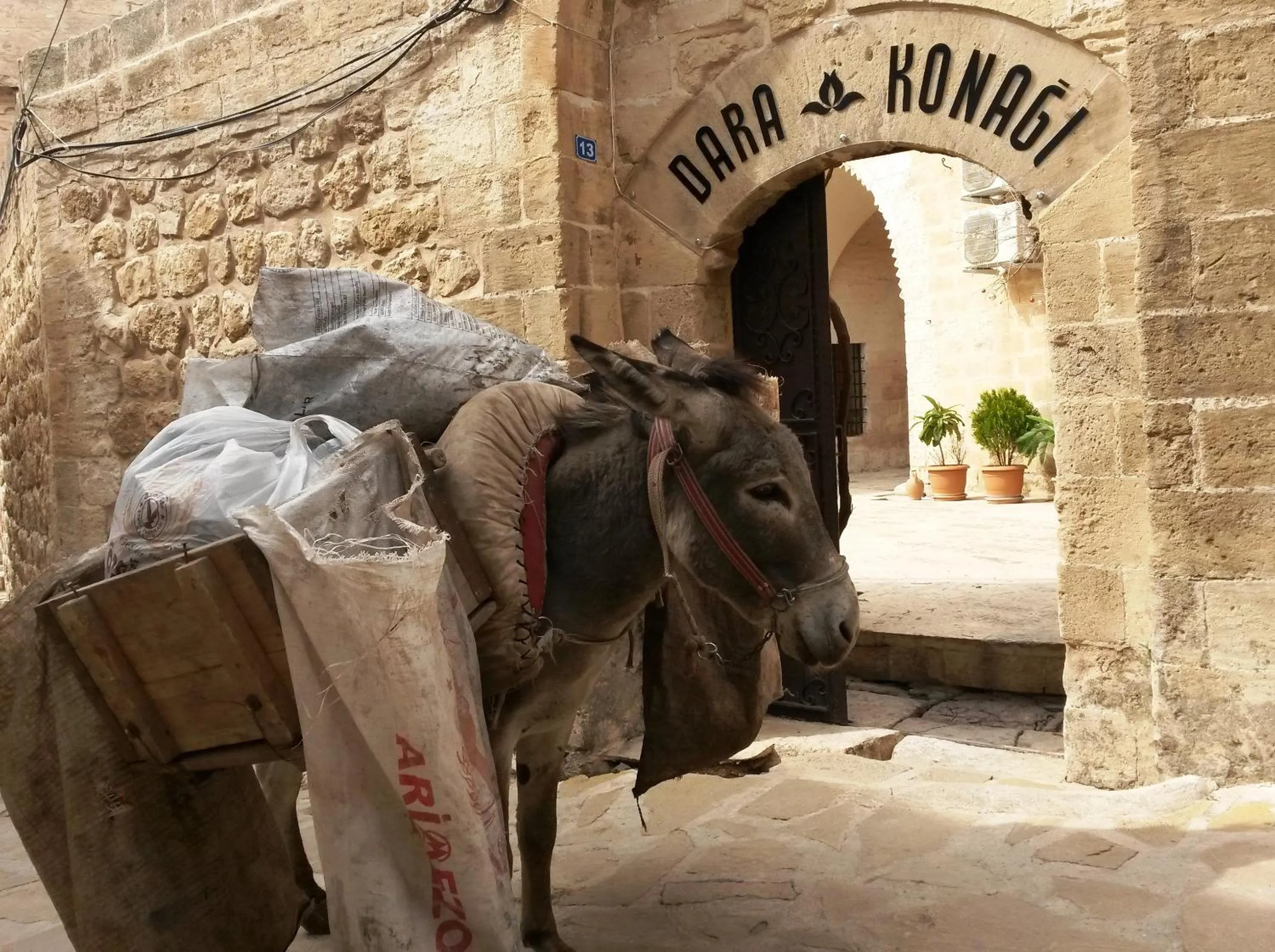 Off site in Dara Konagı