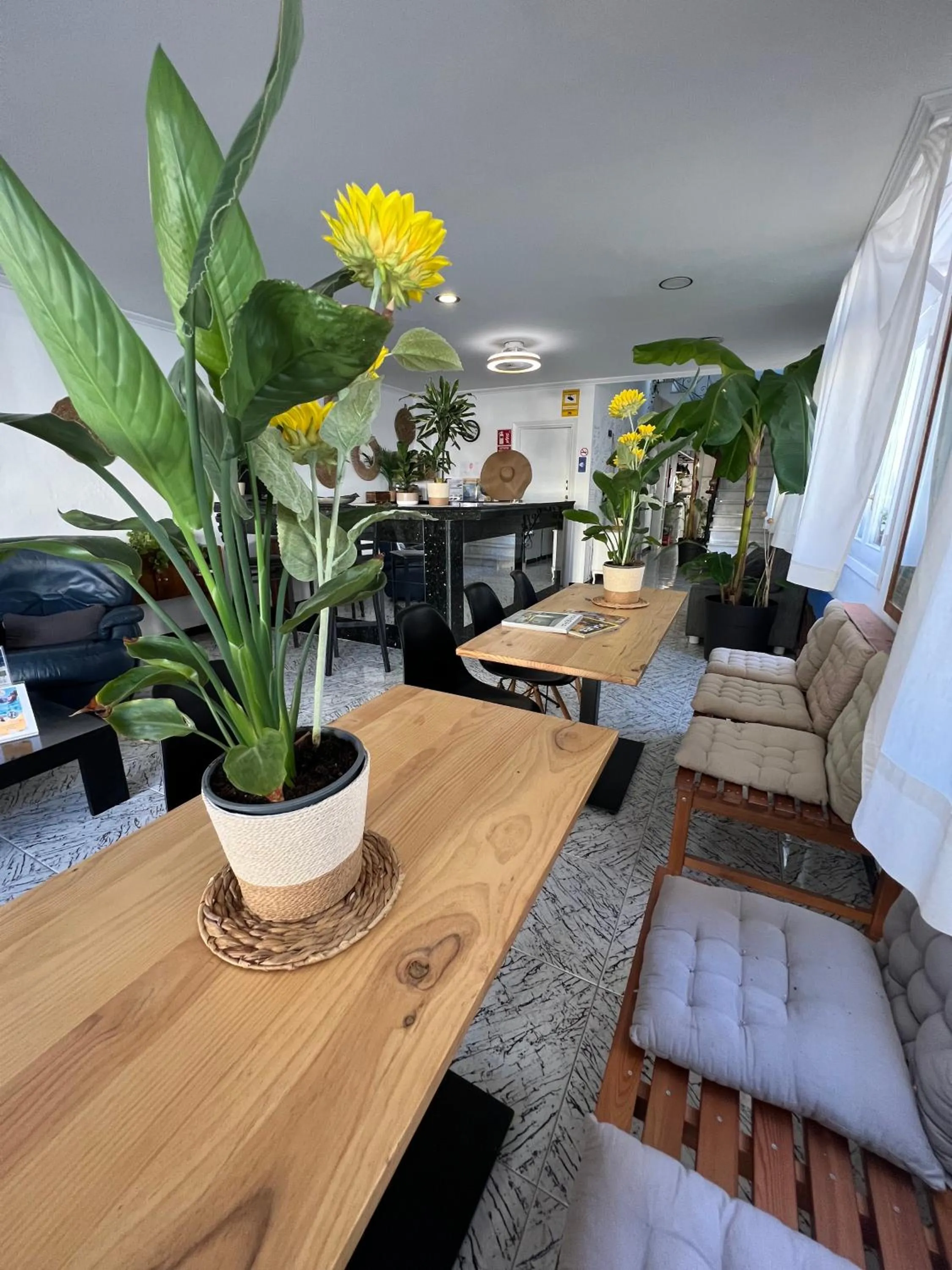 Living room in Balear Hotel