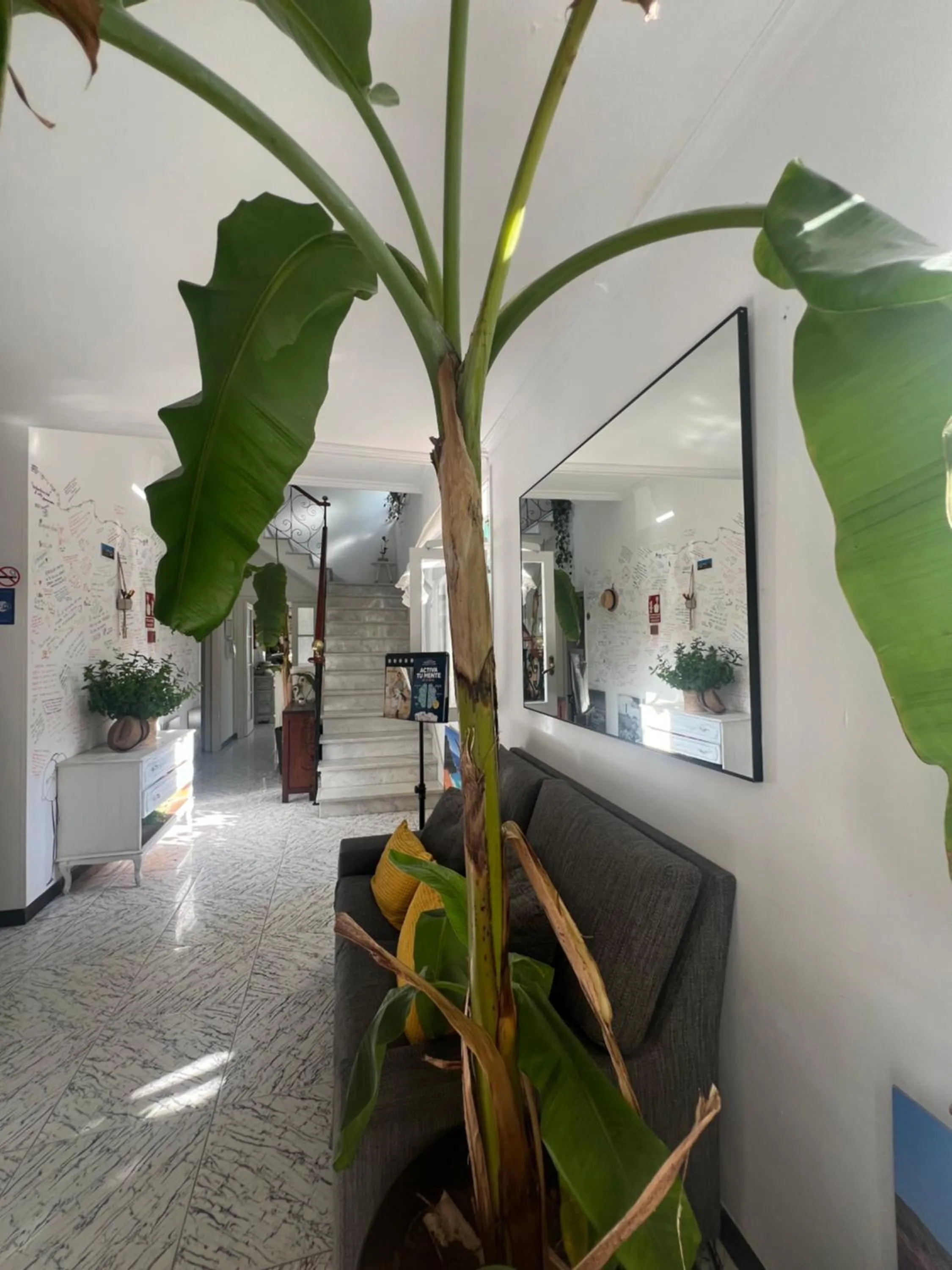 Lobby or reception in Balear Hotel