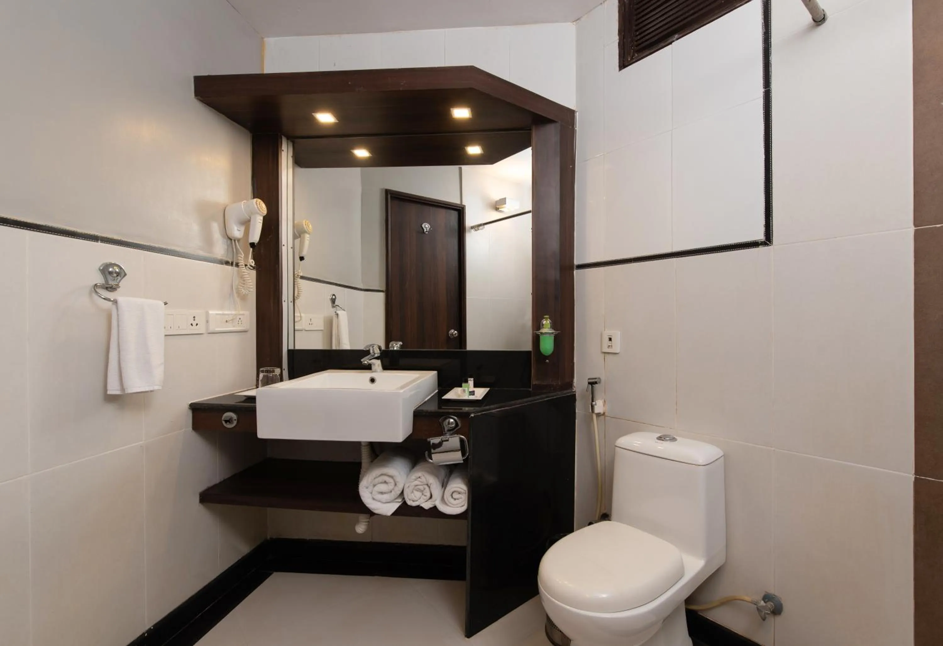 Shower, Bathroom in Living Room by Seasons, Goa