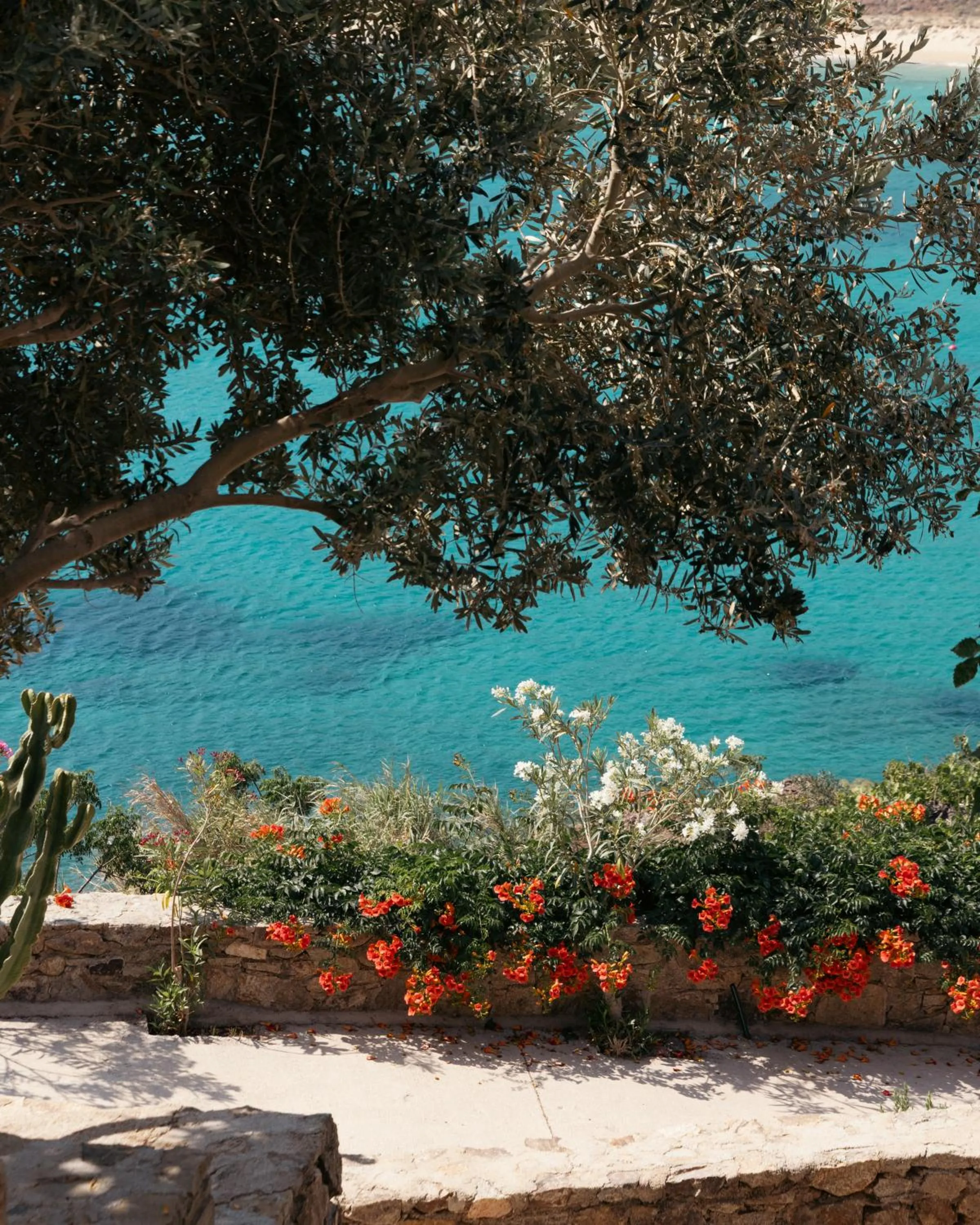 Spring in Albatros Club Mykonos