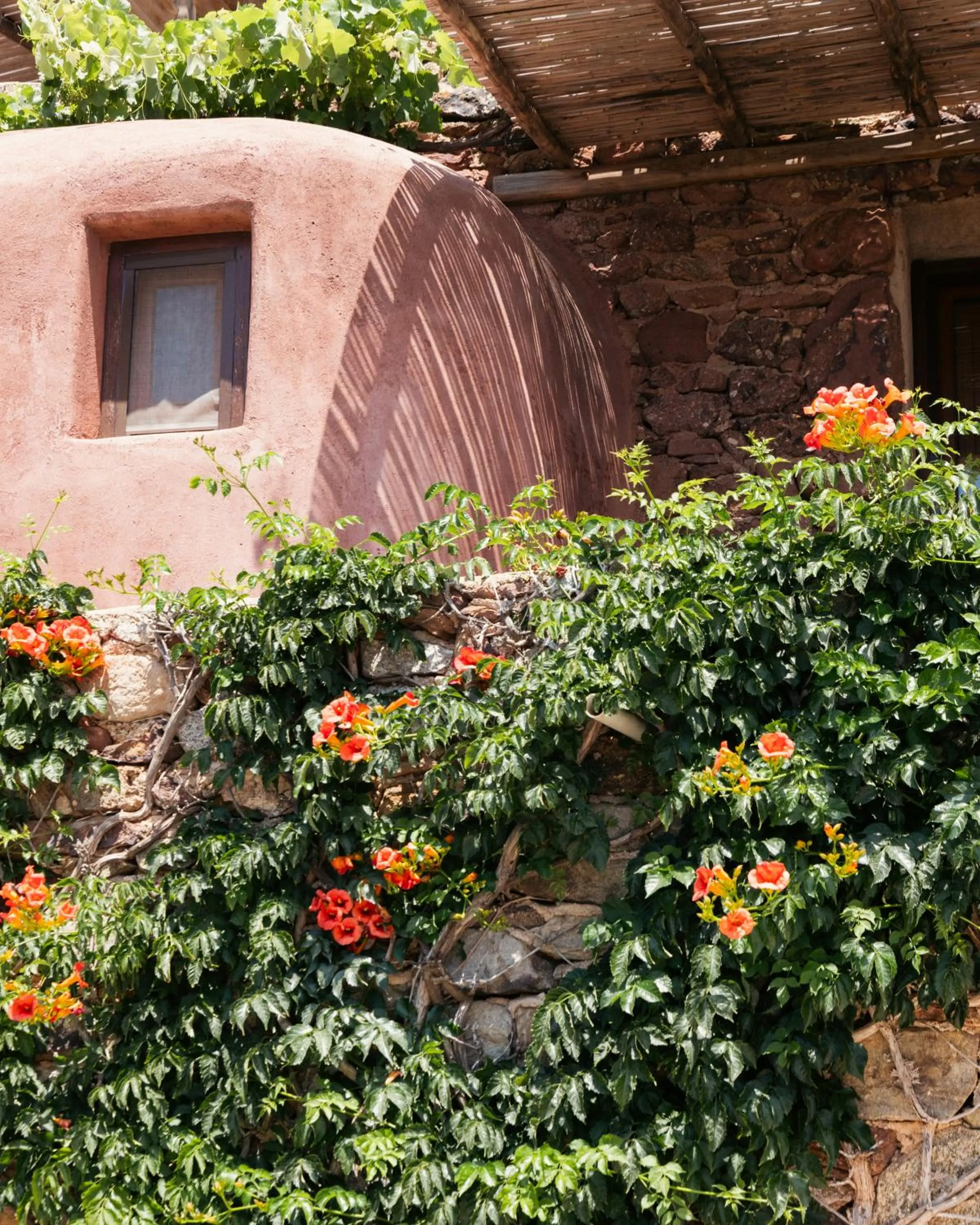 Garden in Albatros Club Mykonos