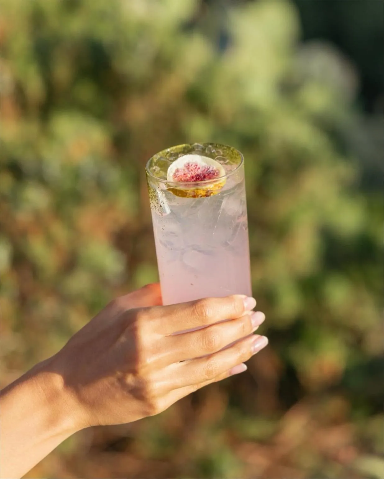 Food and drinks in Albatros Club Mykonos