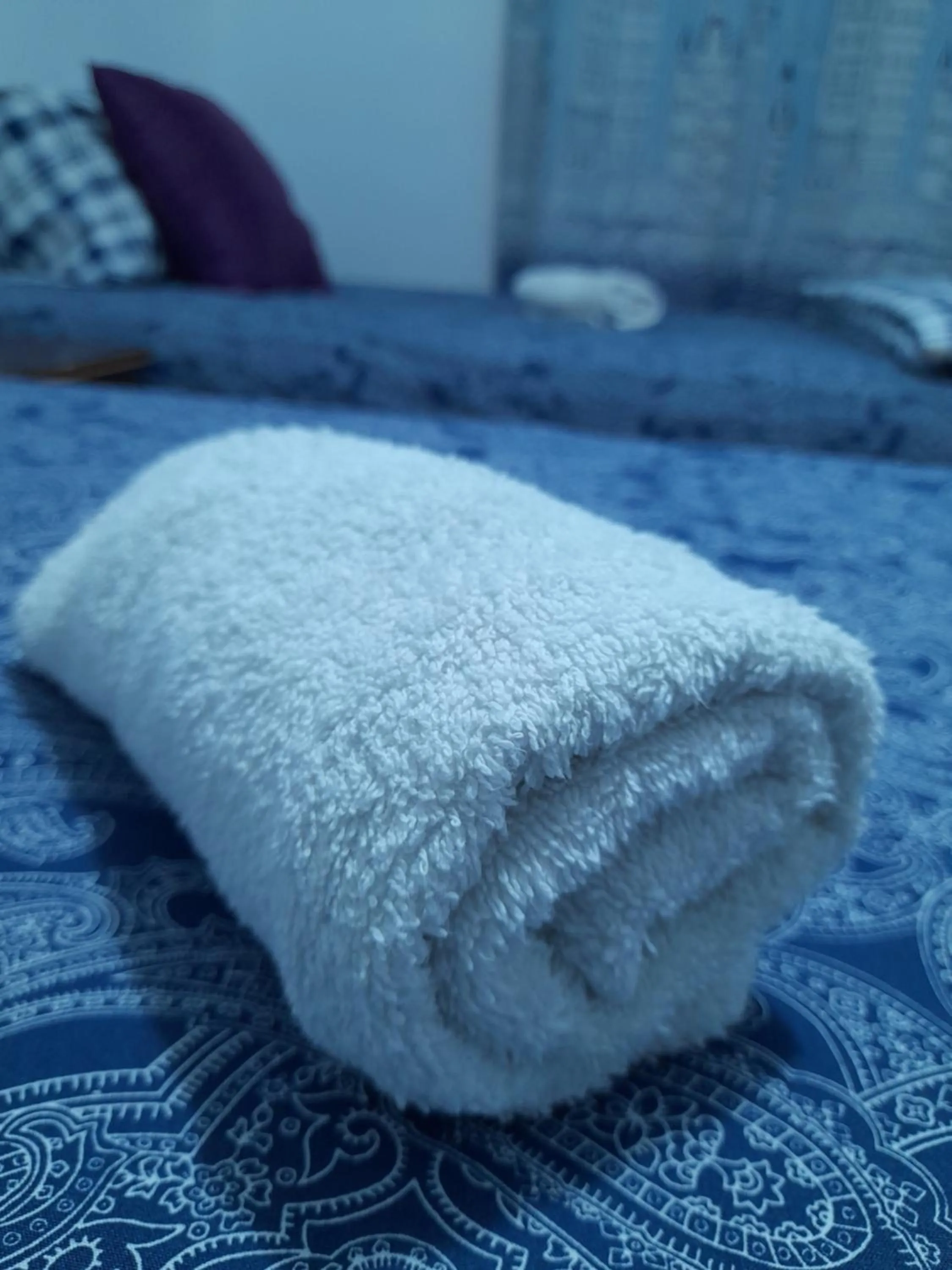 Bed in Garden Guest House