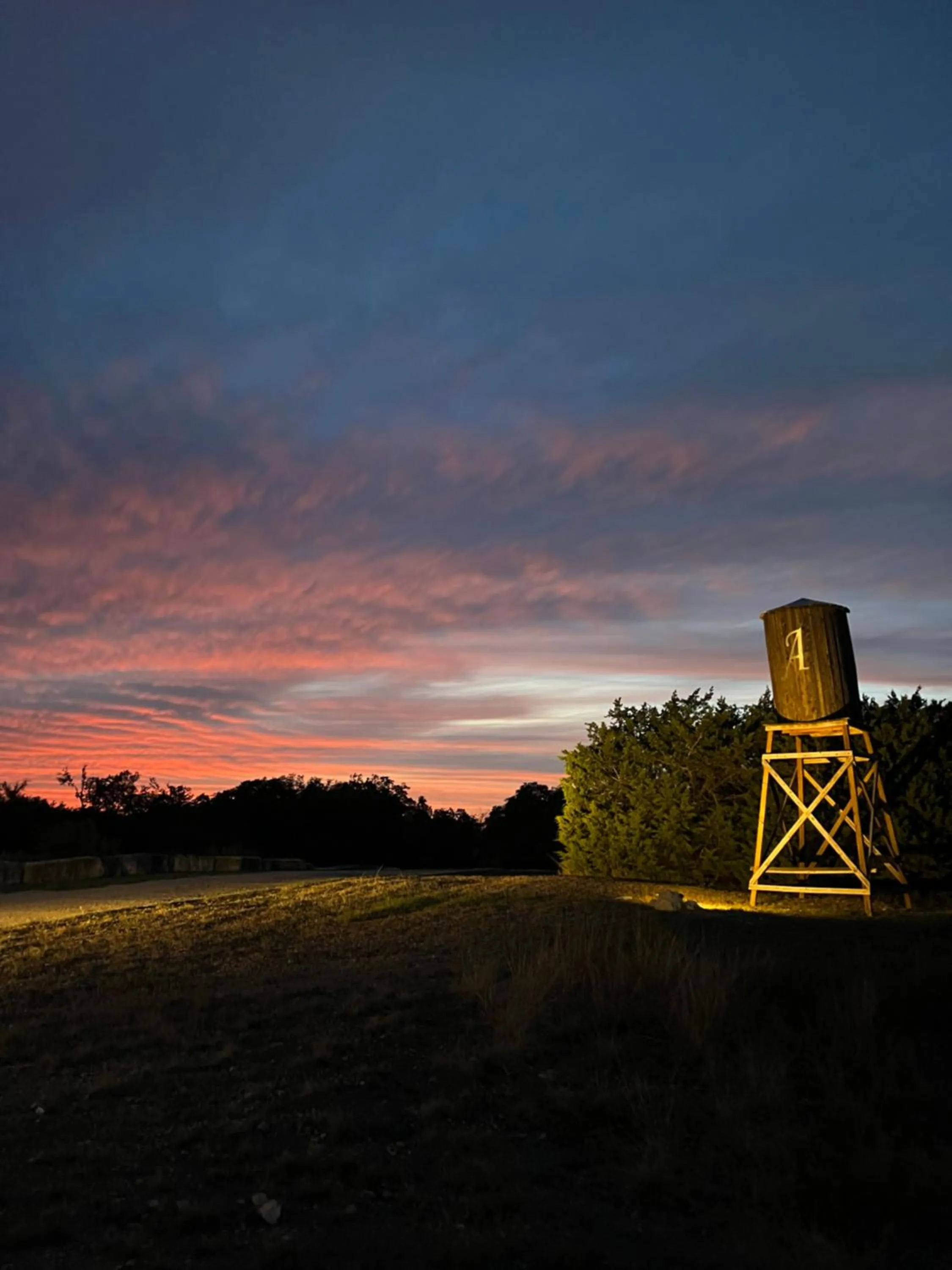Natural landscape in The Alexander at Creek Road