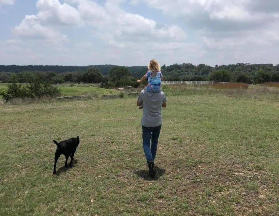 Day in The Alexander at Creek Road