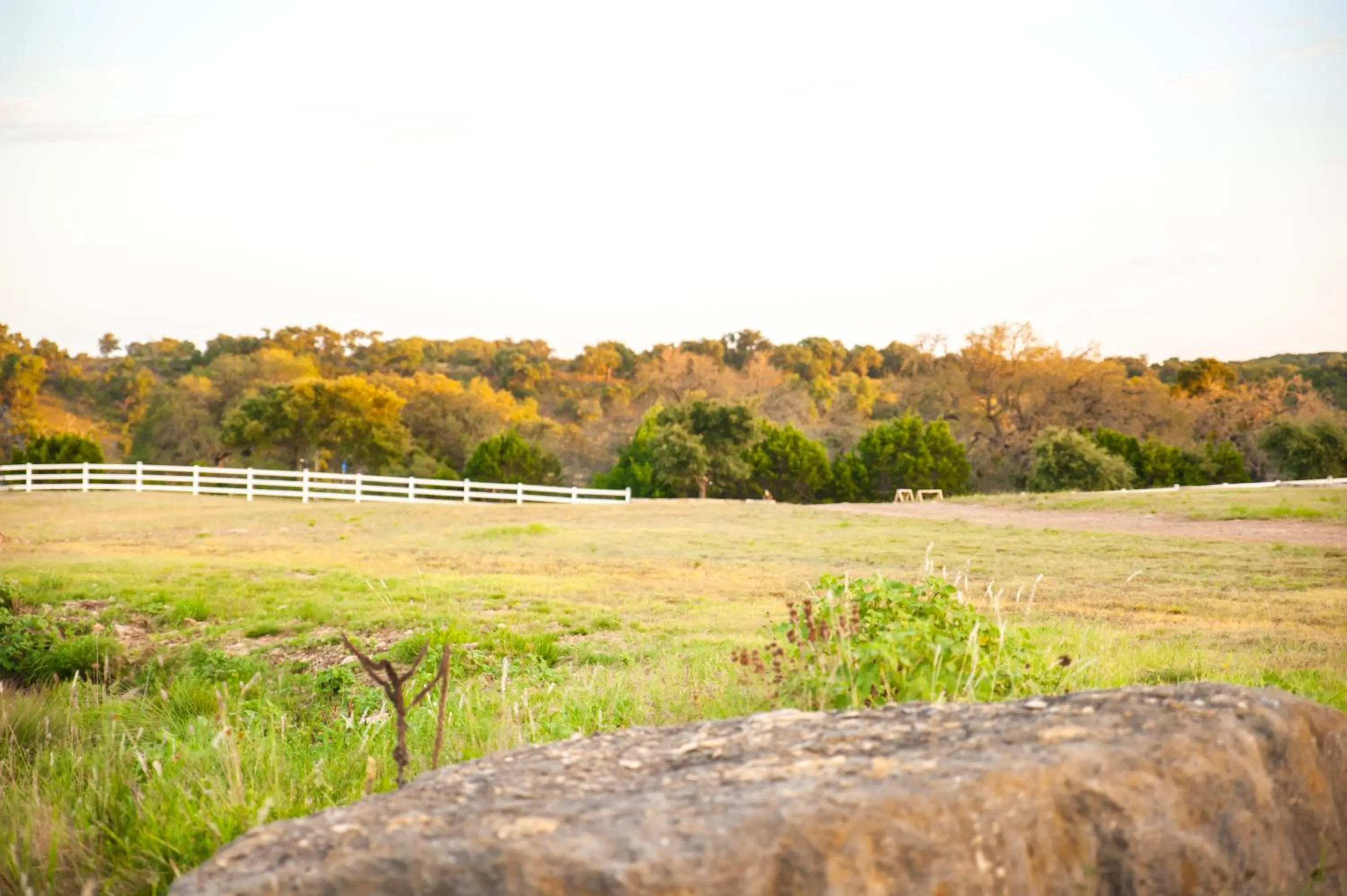 Day in The Alexander at Creek Road
