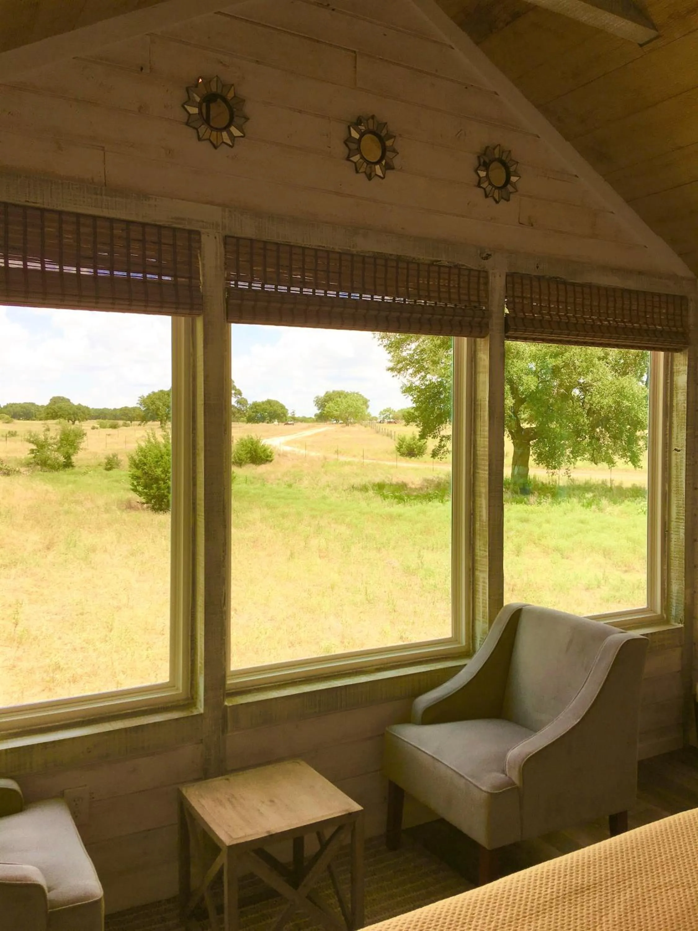 Natural landscape in The Alexander at Creek Road