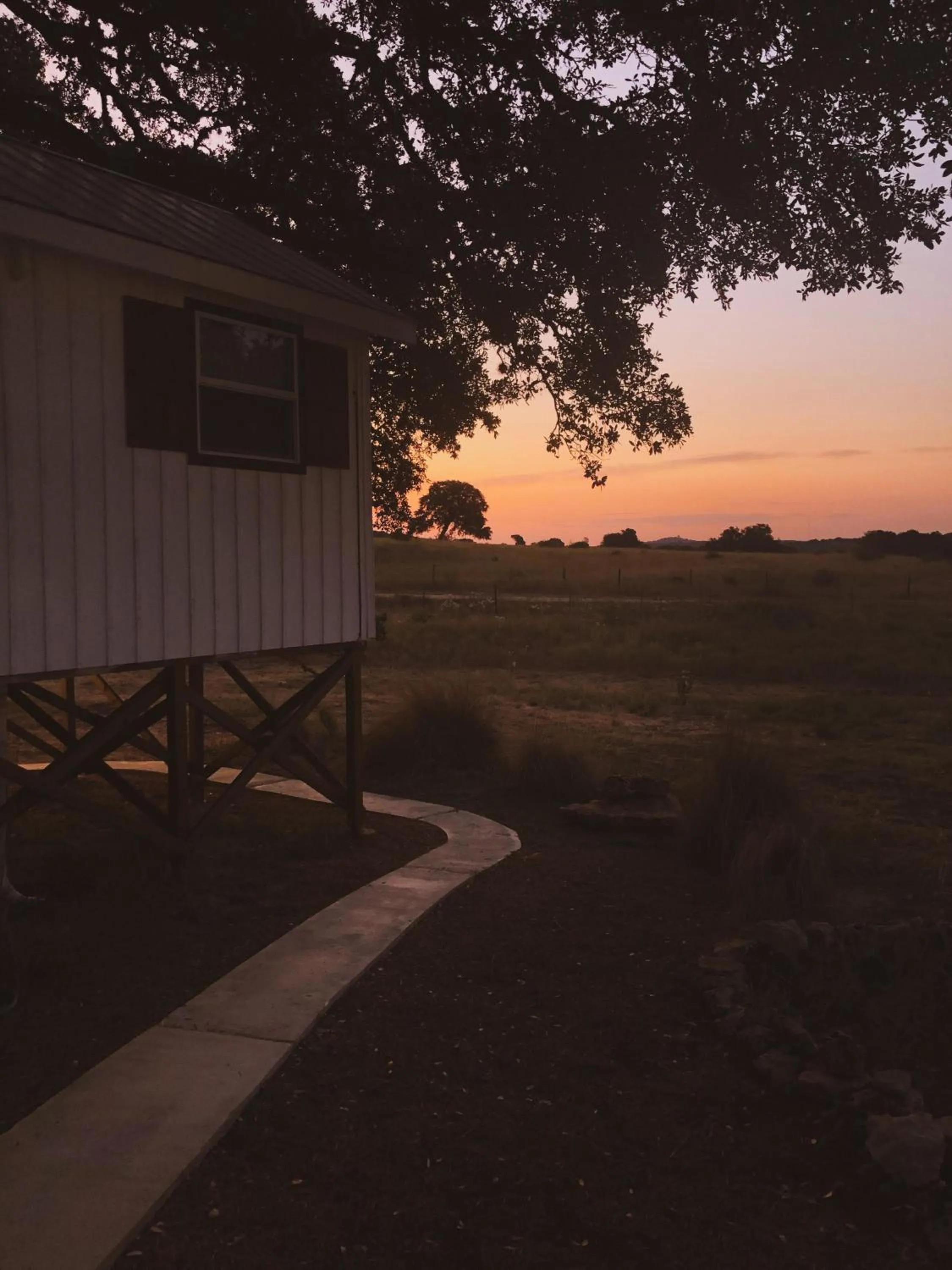 Natural landscape in The Alexander at Creek Road