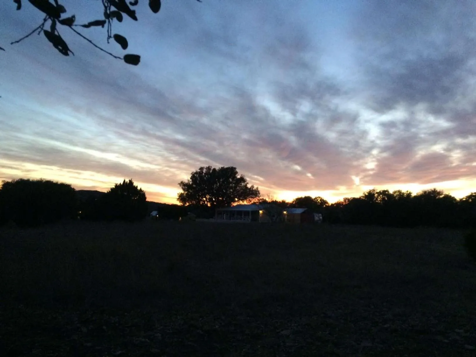 Natural landscape in The Alexander at Creek Road